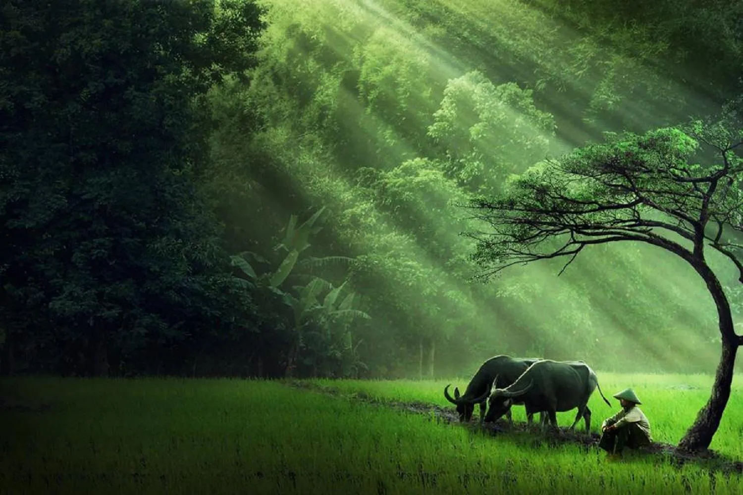 Landmark view in Flame Flowers Homestay