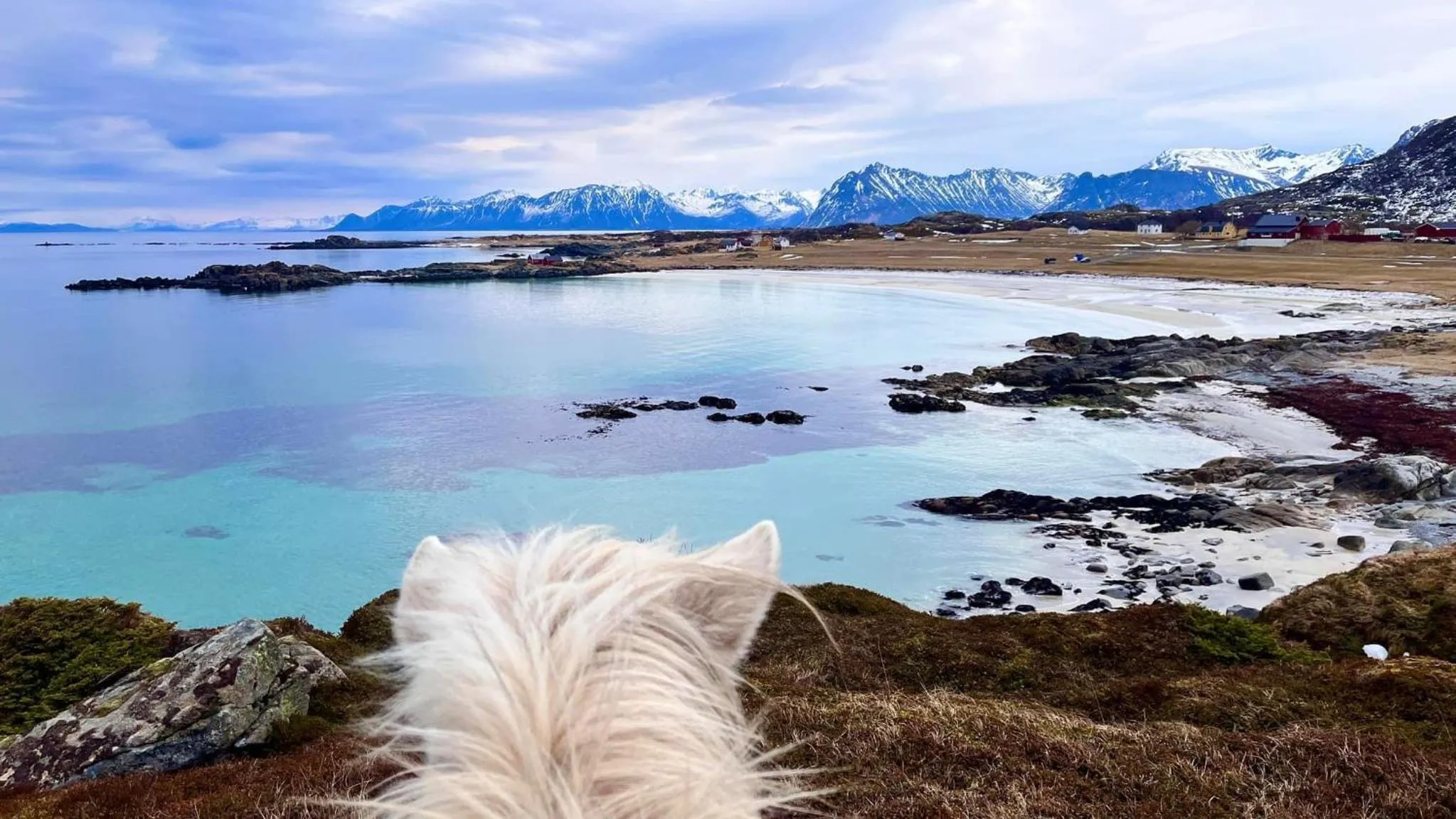 Natural landscape in Lofoten Links Lodges