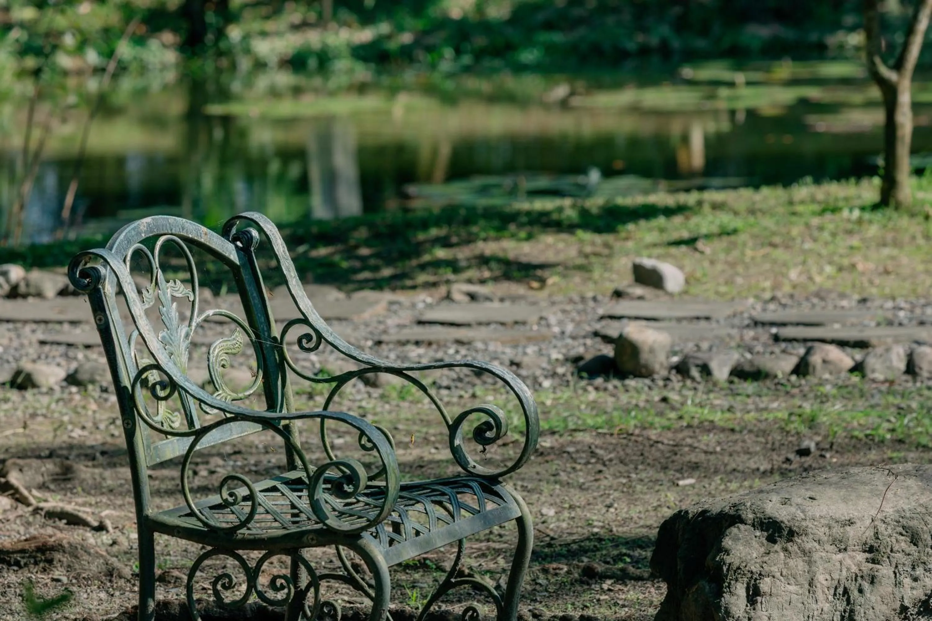 Garden view in Green Forest Villa