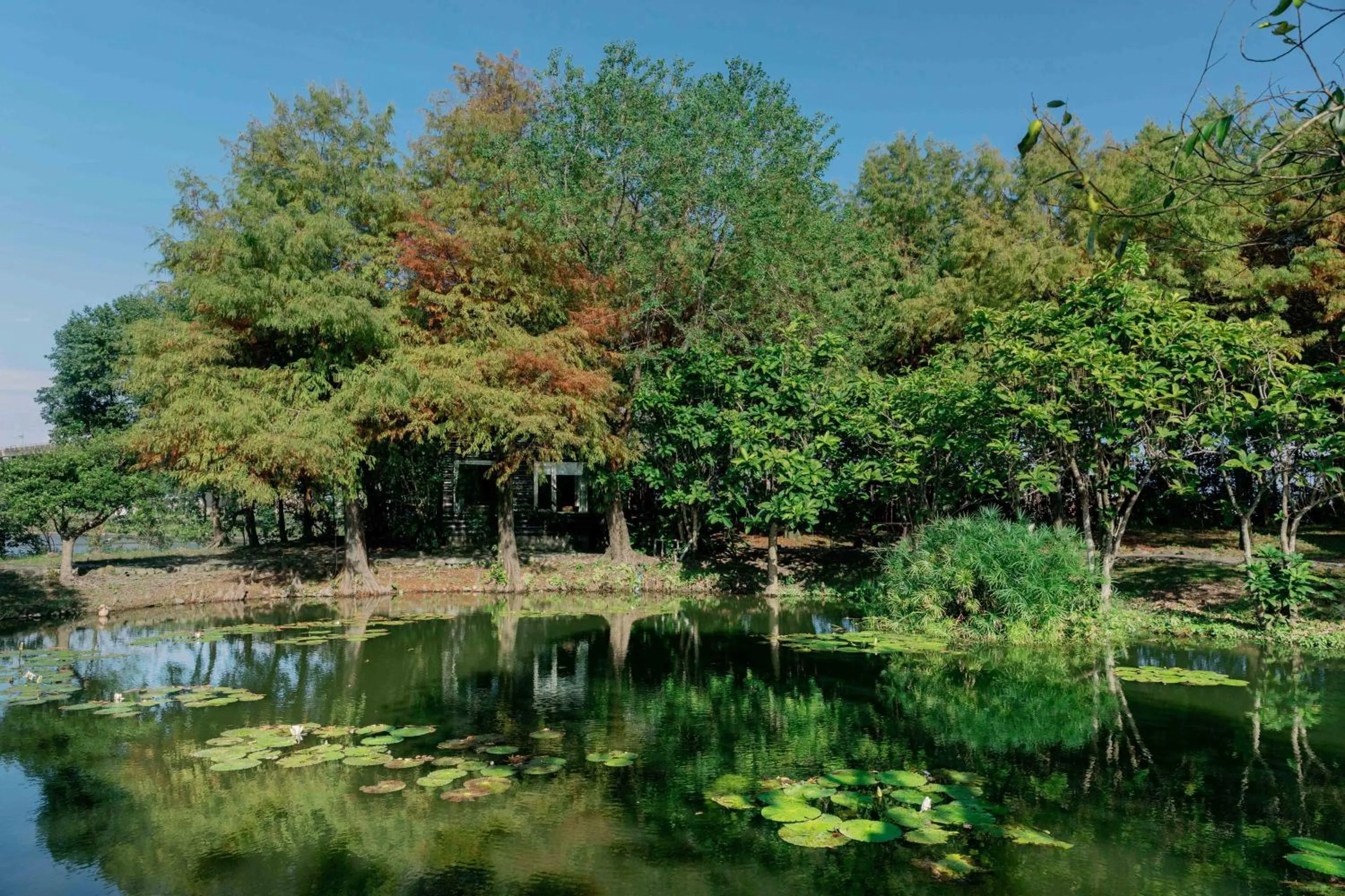 Garden view in Green Forest Villa