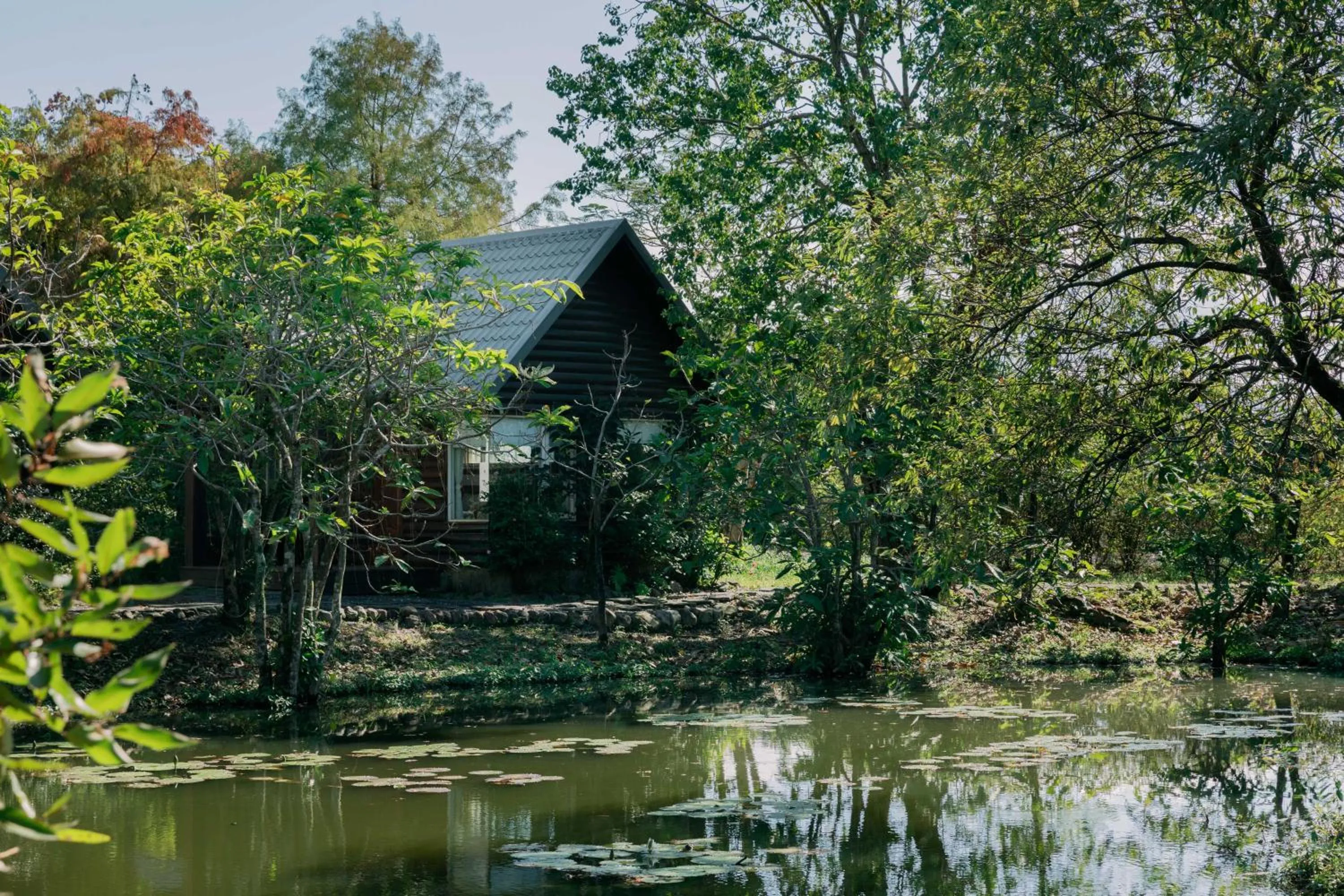 Natural landscape in Green Forest Villa