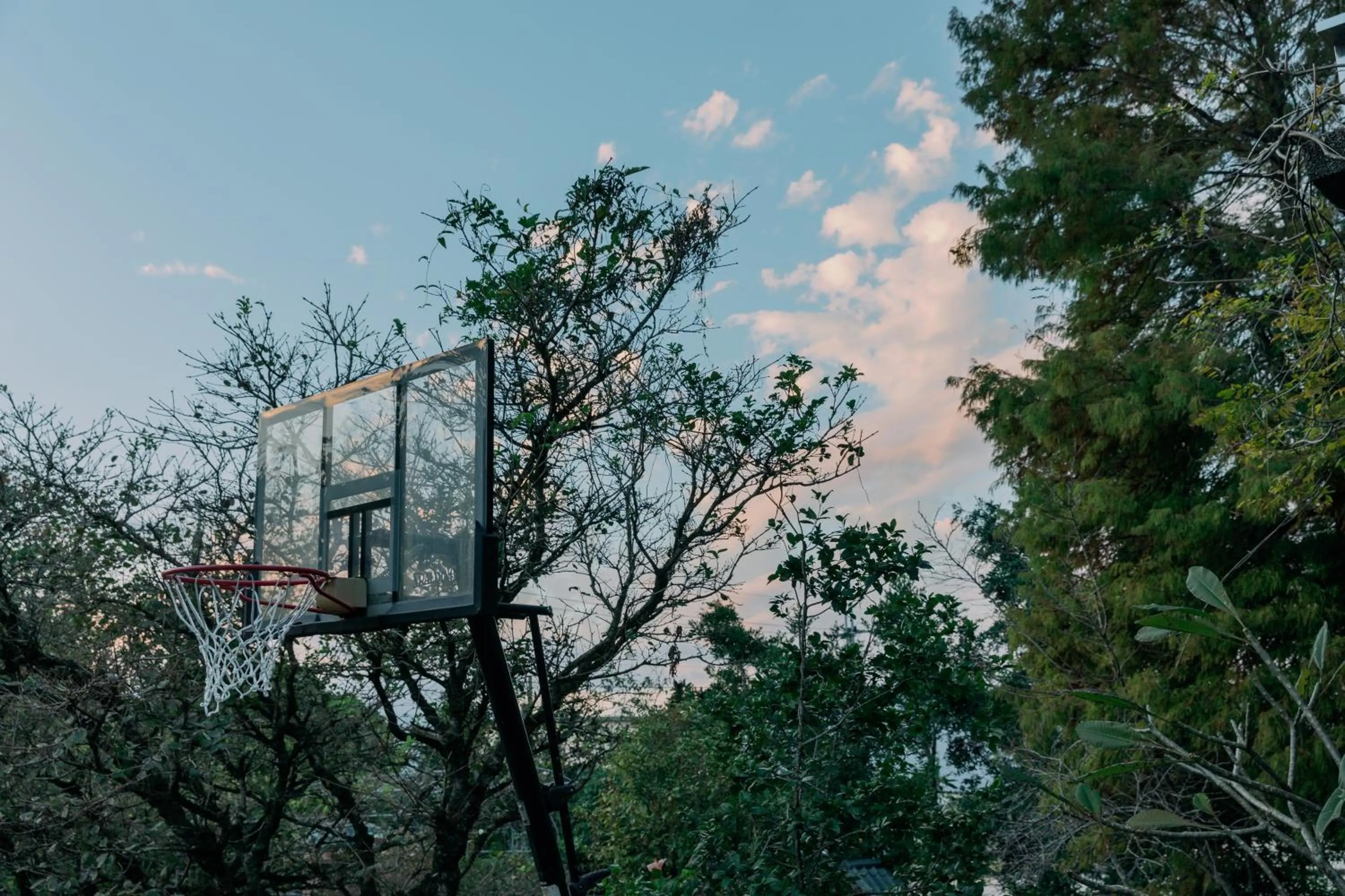 Natural landscape in Green Forest Villa