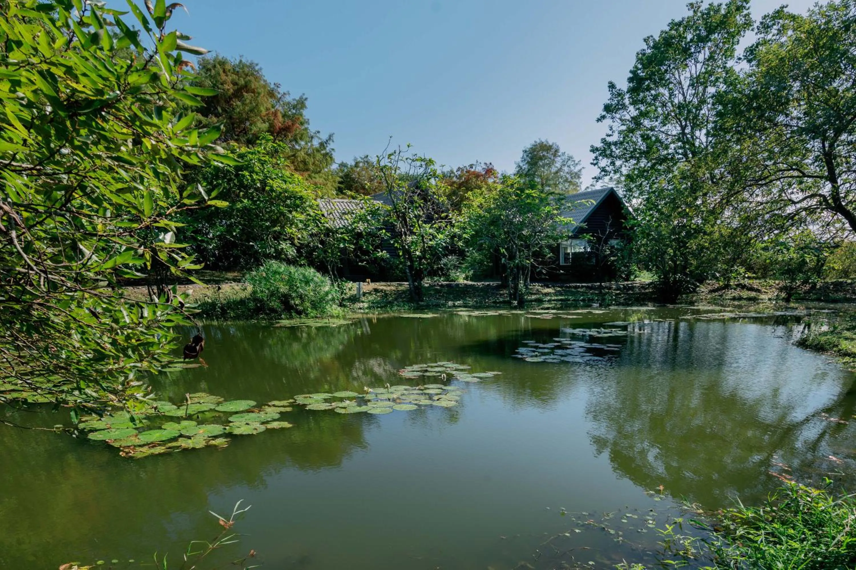 Lake view in Green Forest Villa