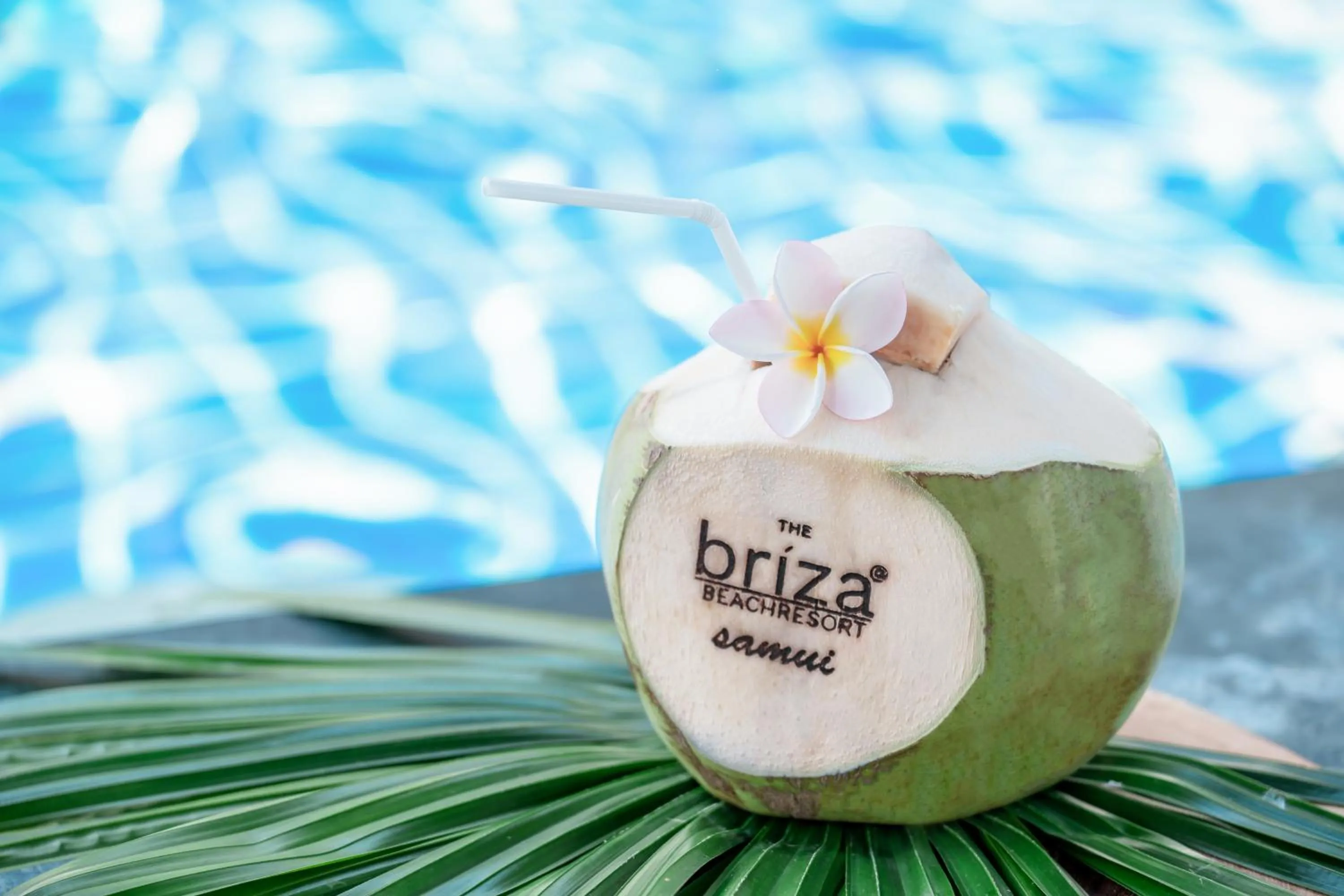 Restaurant/places to eat in The Briza Beach Resort, Samui - SHA Plus