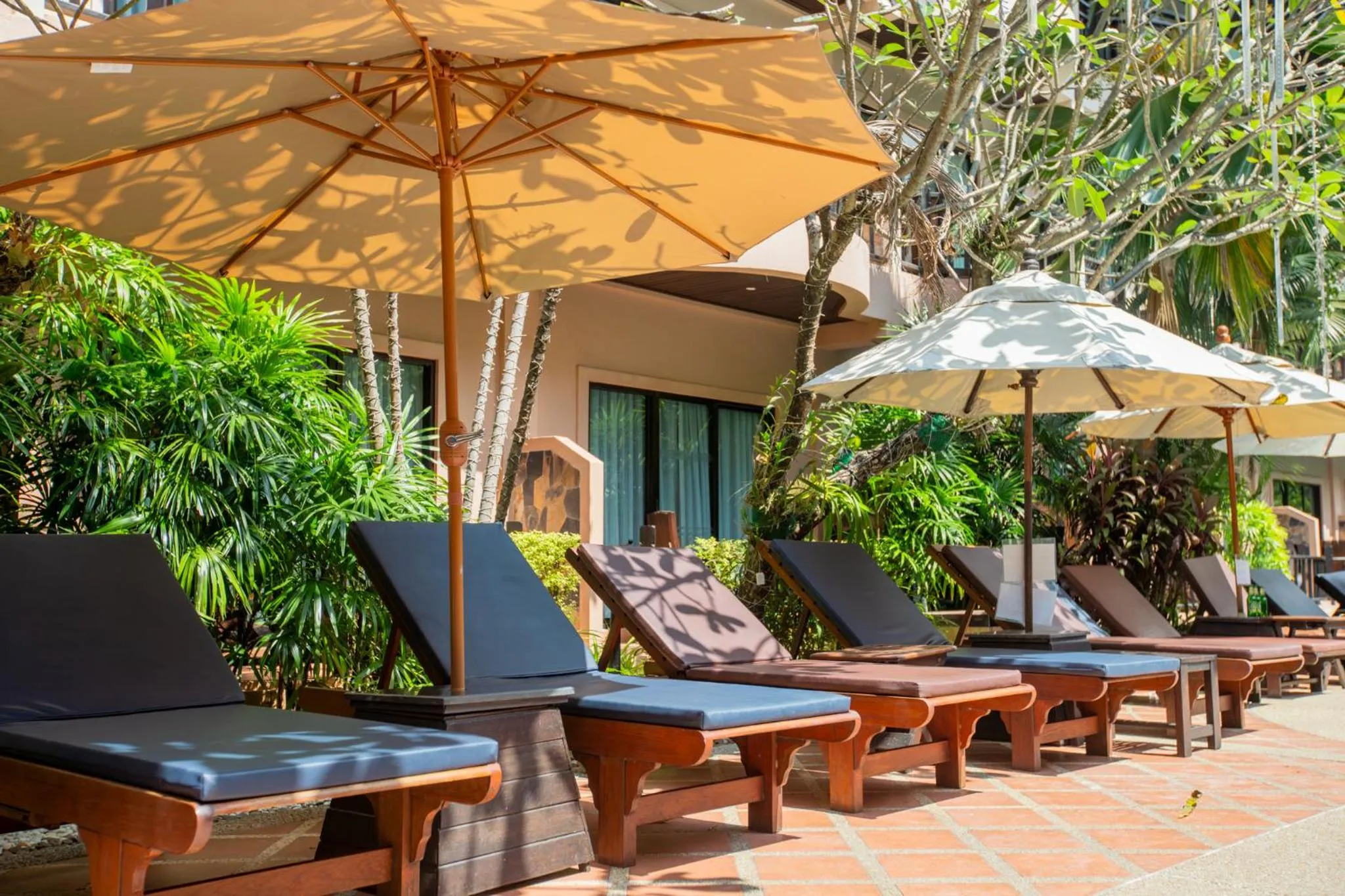 sunbed in Nipa Resort, Patong Beach