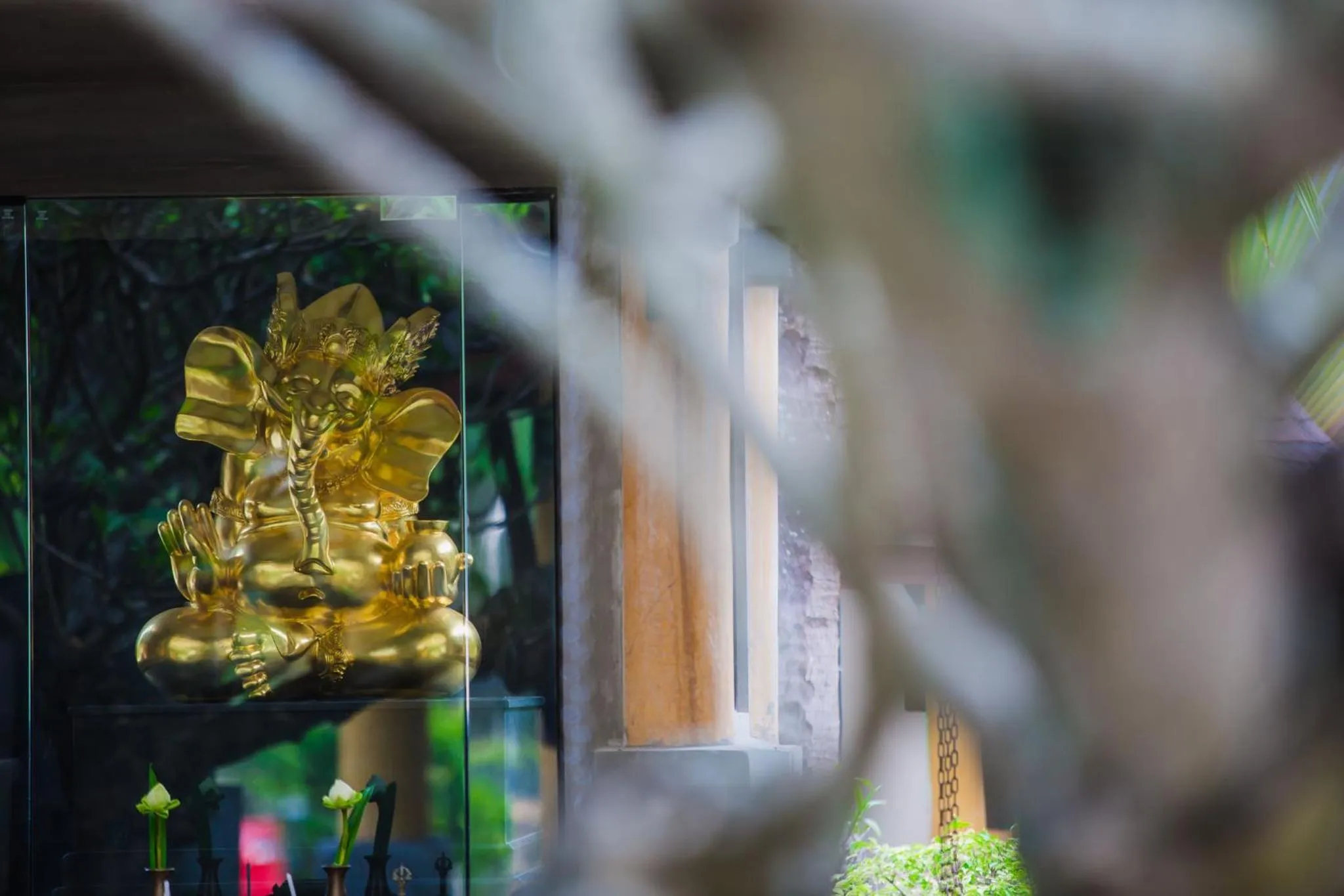 Lobby or reception in The Village Resort - SHA Plus