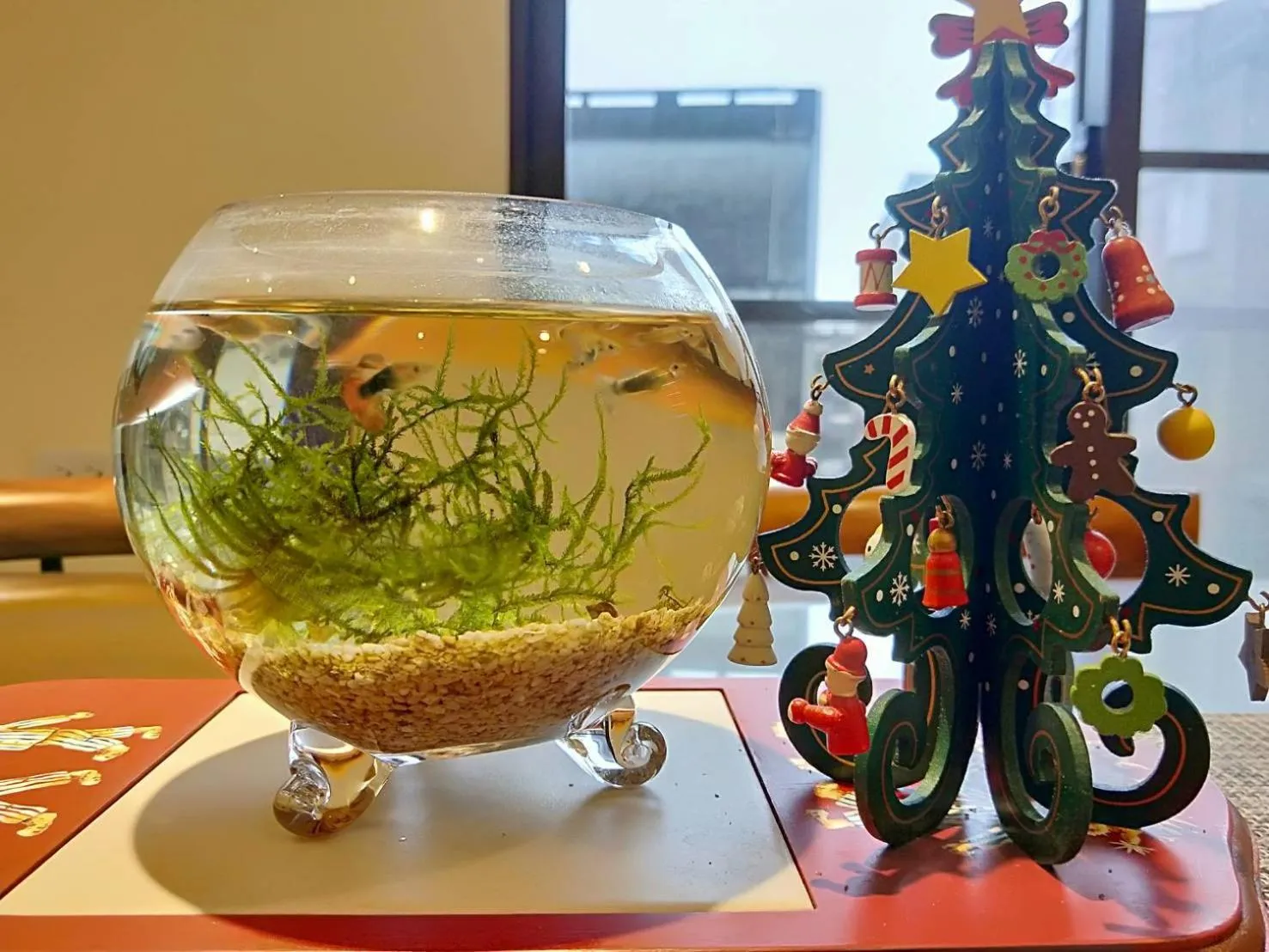 Dining area in Mysig