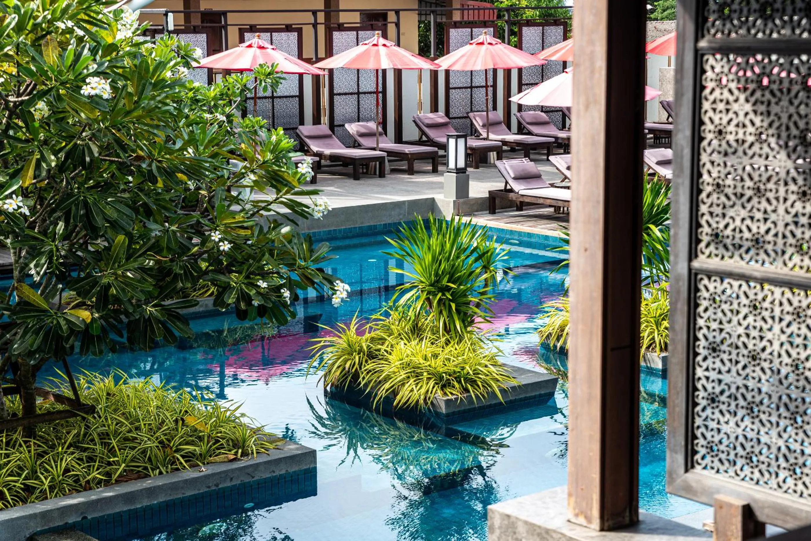 Day in Am Samui Palace