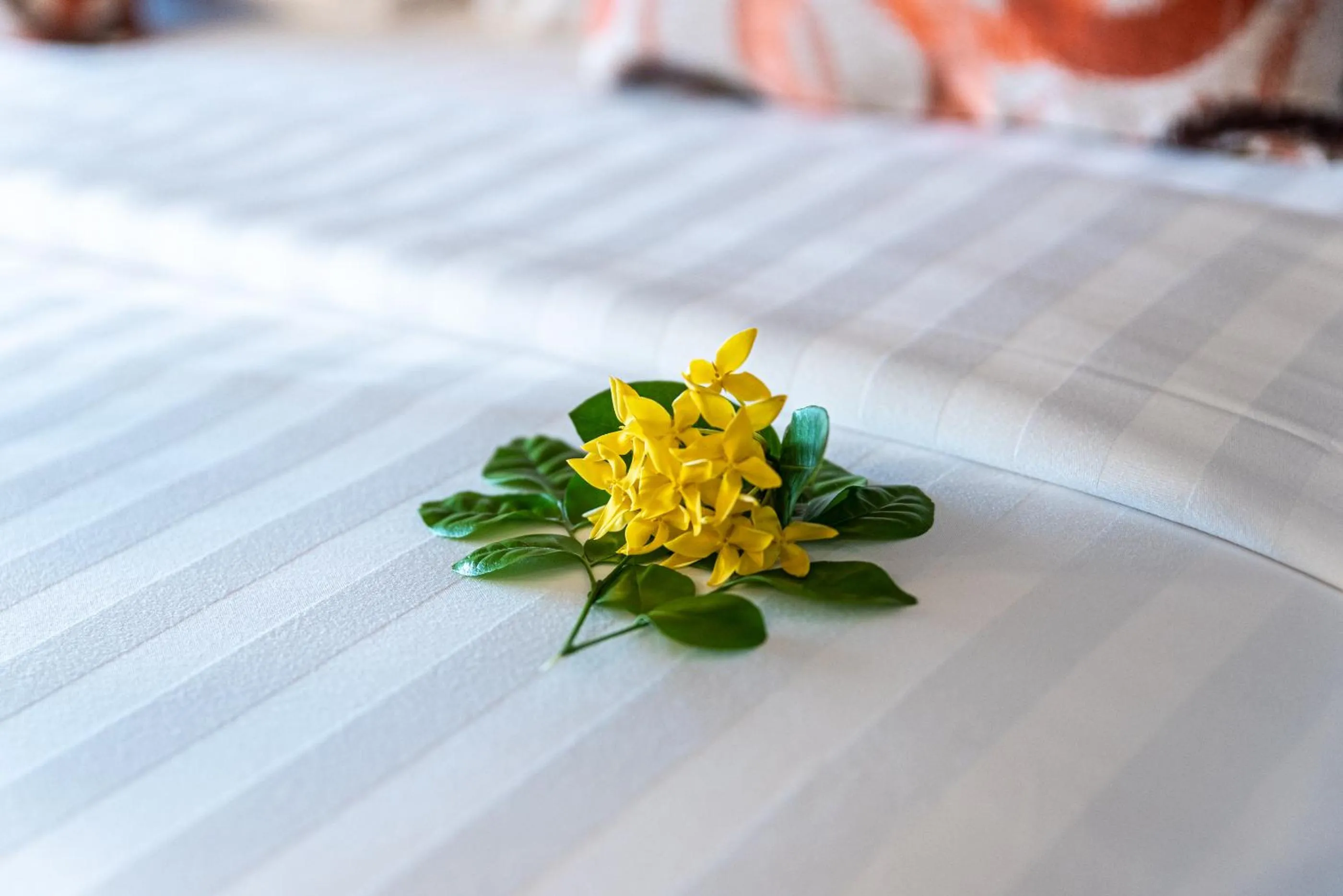 Bed in Am Samui Palace