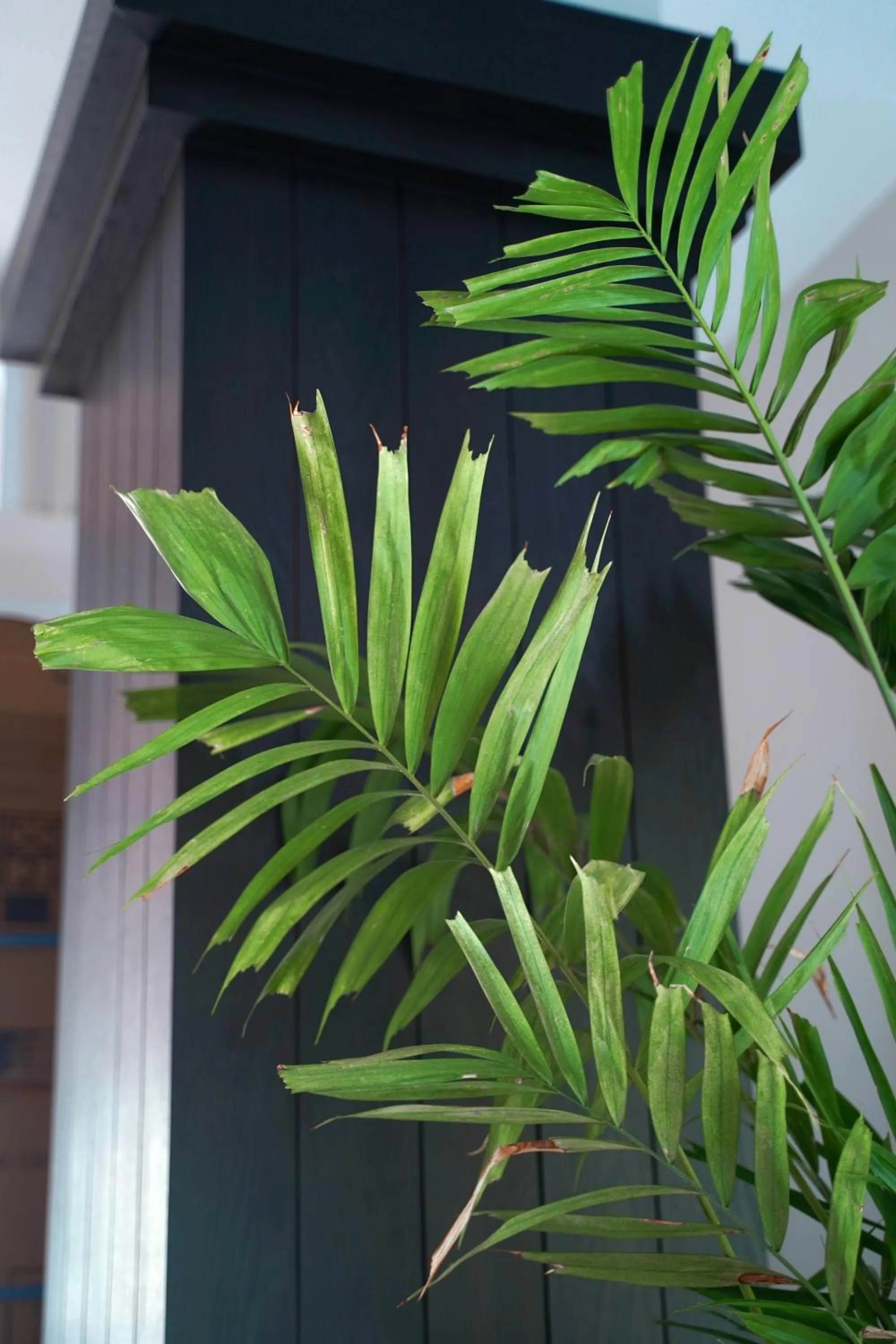 Best Western Chaweng Samui