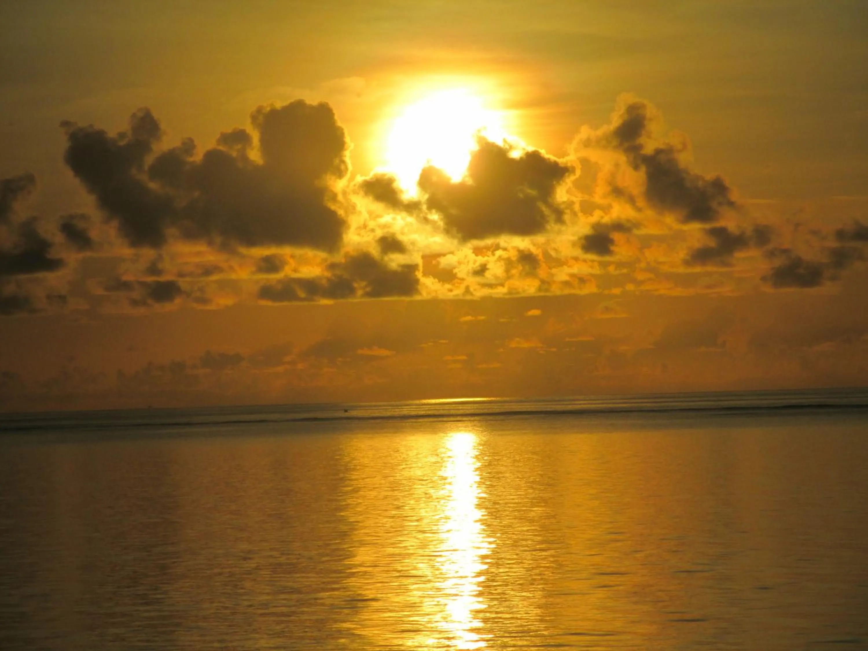 View (from property/room) in Nyali Beach Holiday Resort