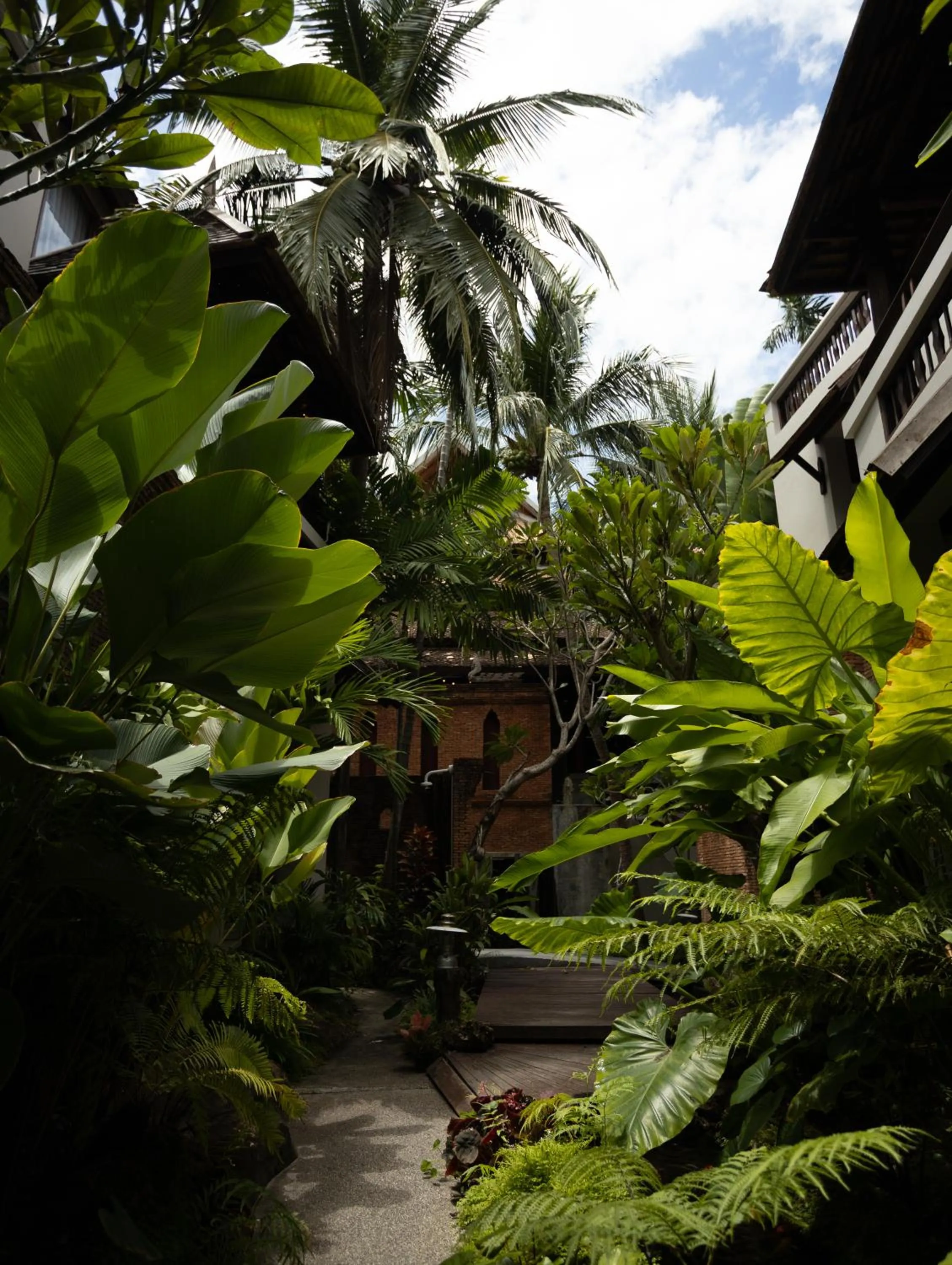 Garden in Muang Samui Spa Resort