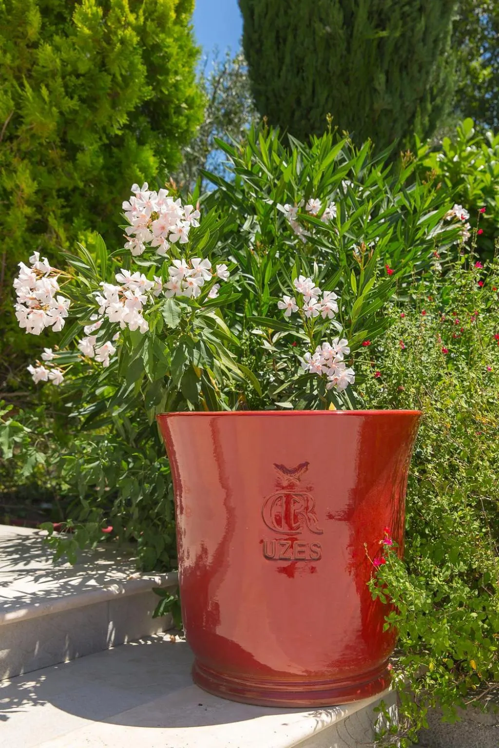 Day in Le Mas des Alexandrins