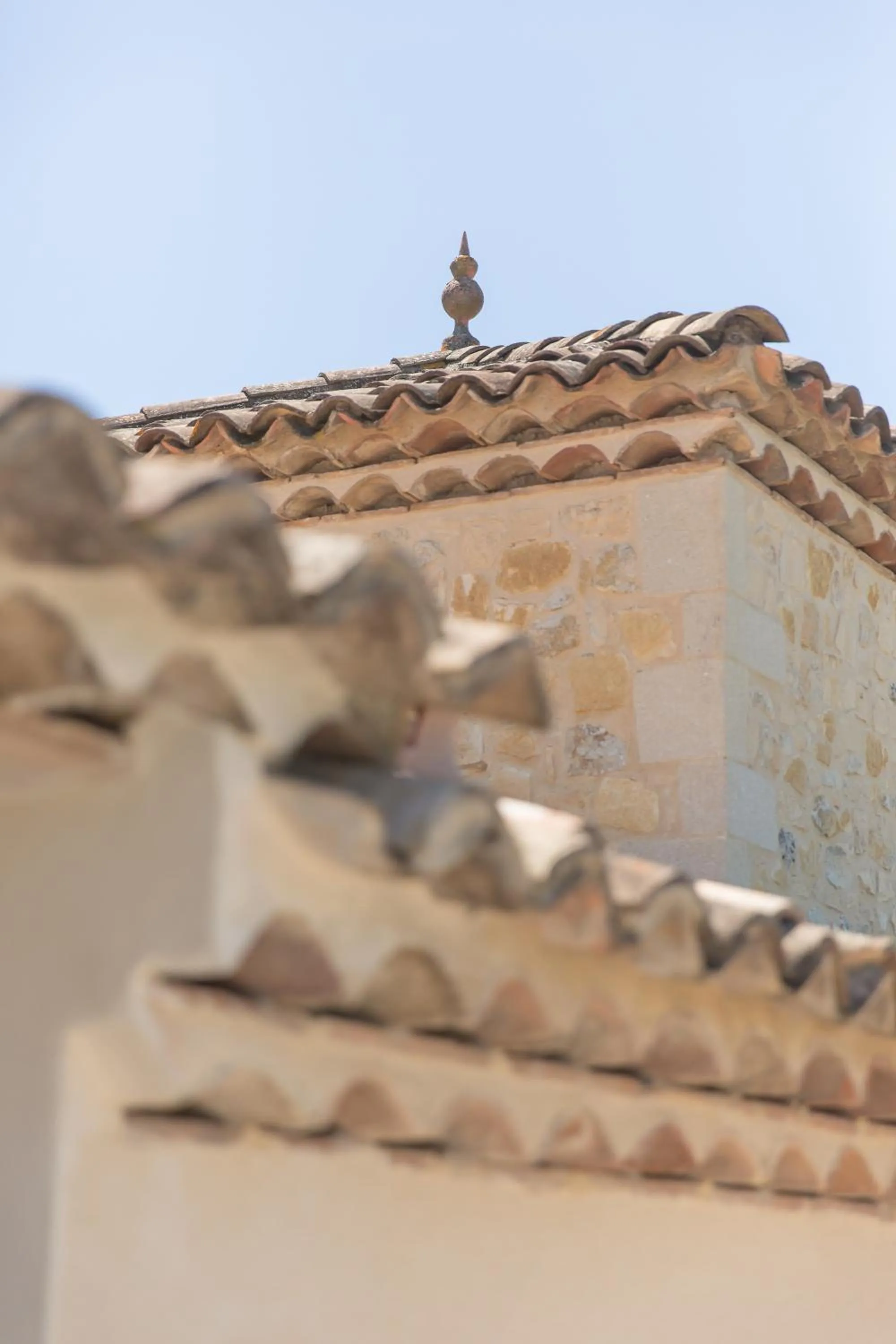 Day in Le Mas des Alexandrins