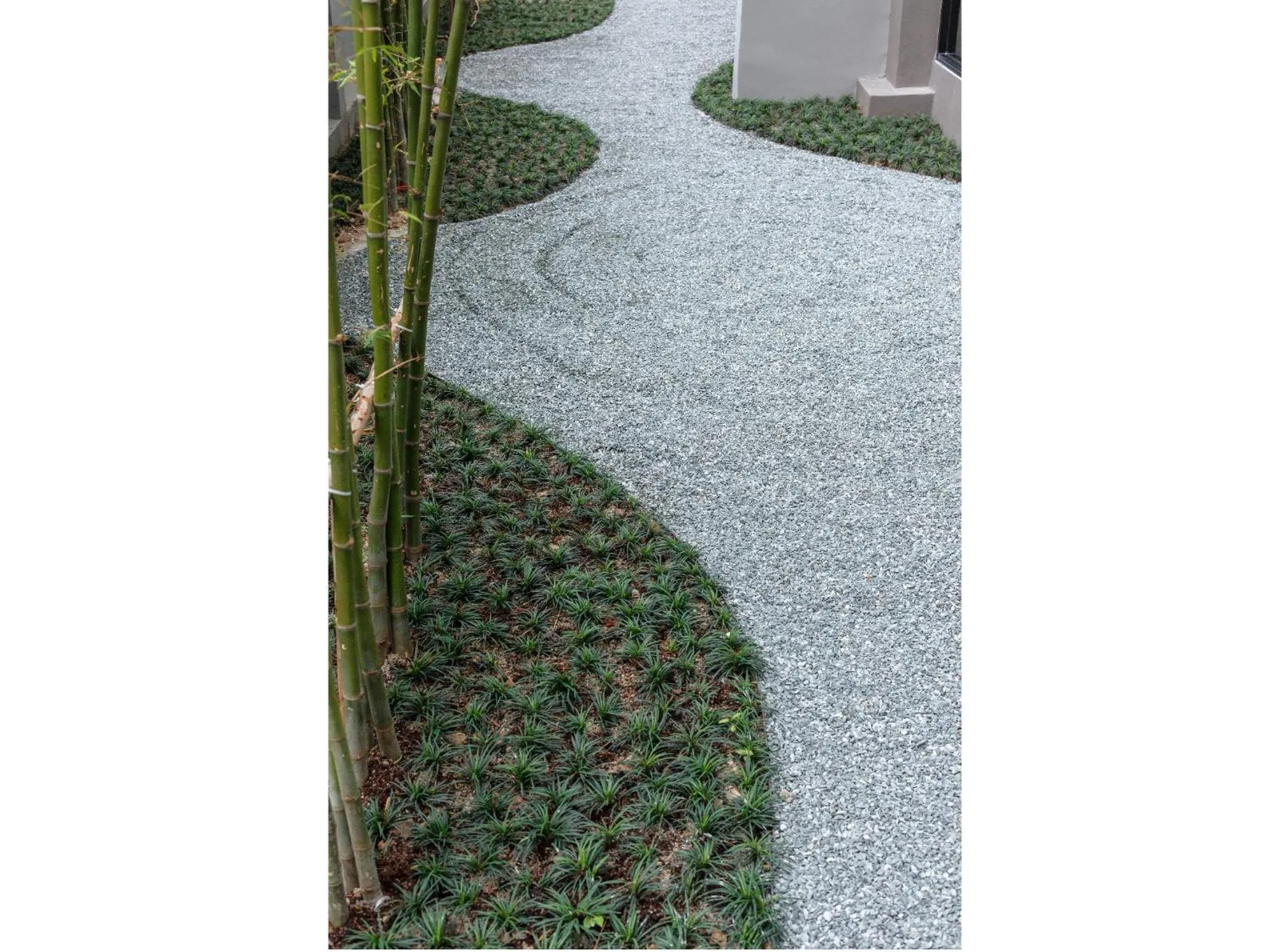 Garden in Madera Residence Sriracha