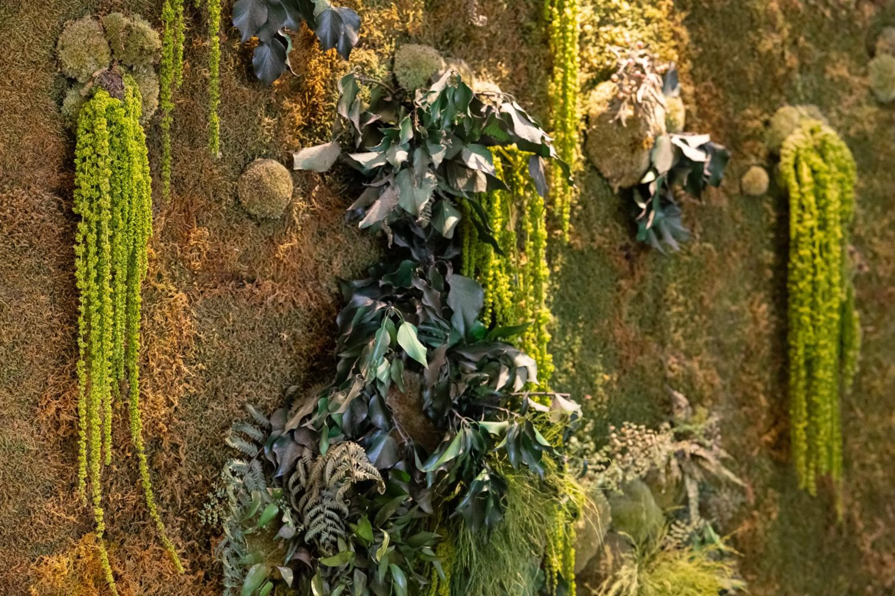 Meg Lifestyle Hotel & Apartaments