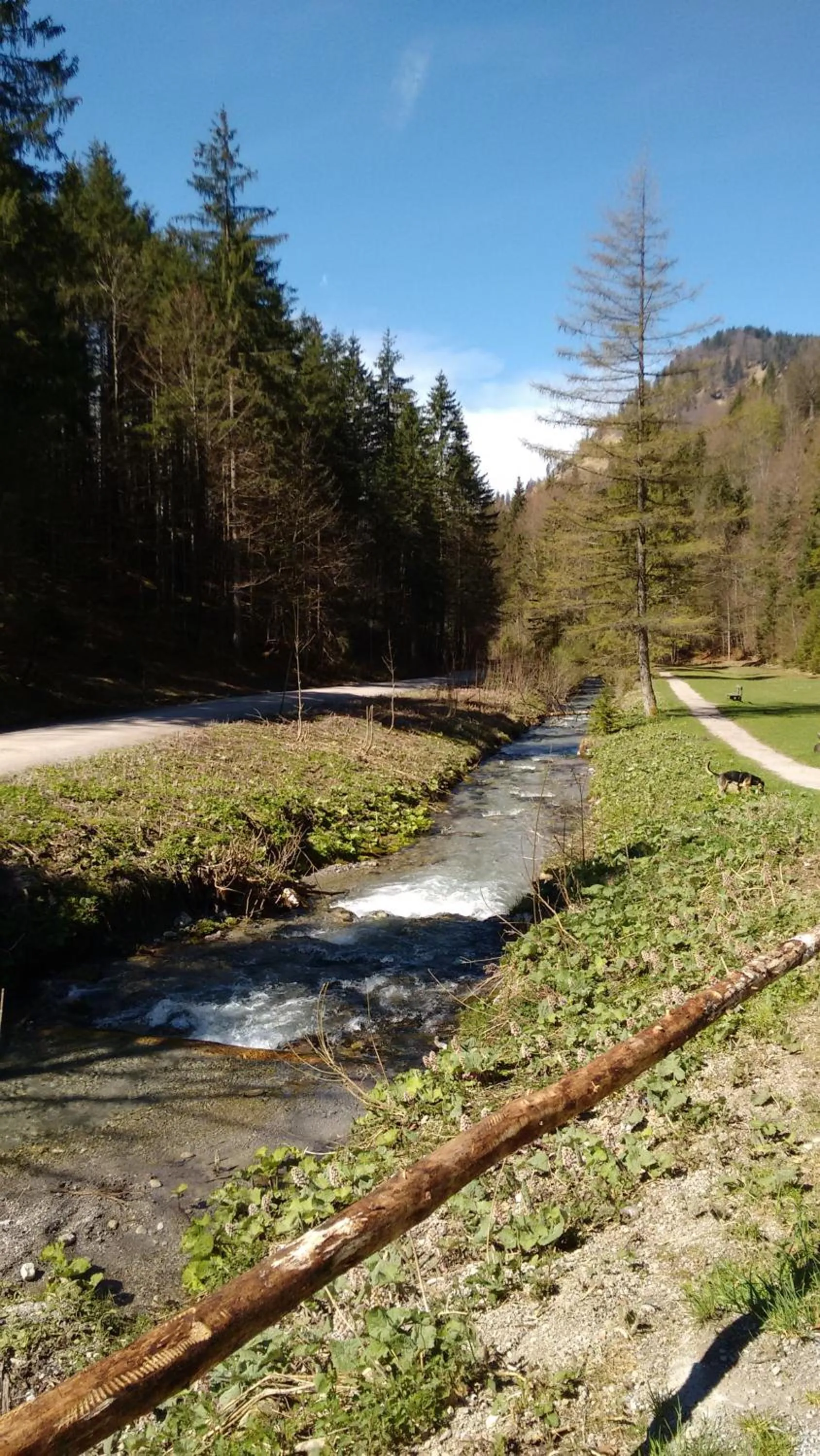 Natural landscape in Schwaigeralm
