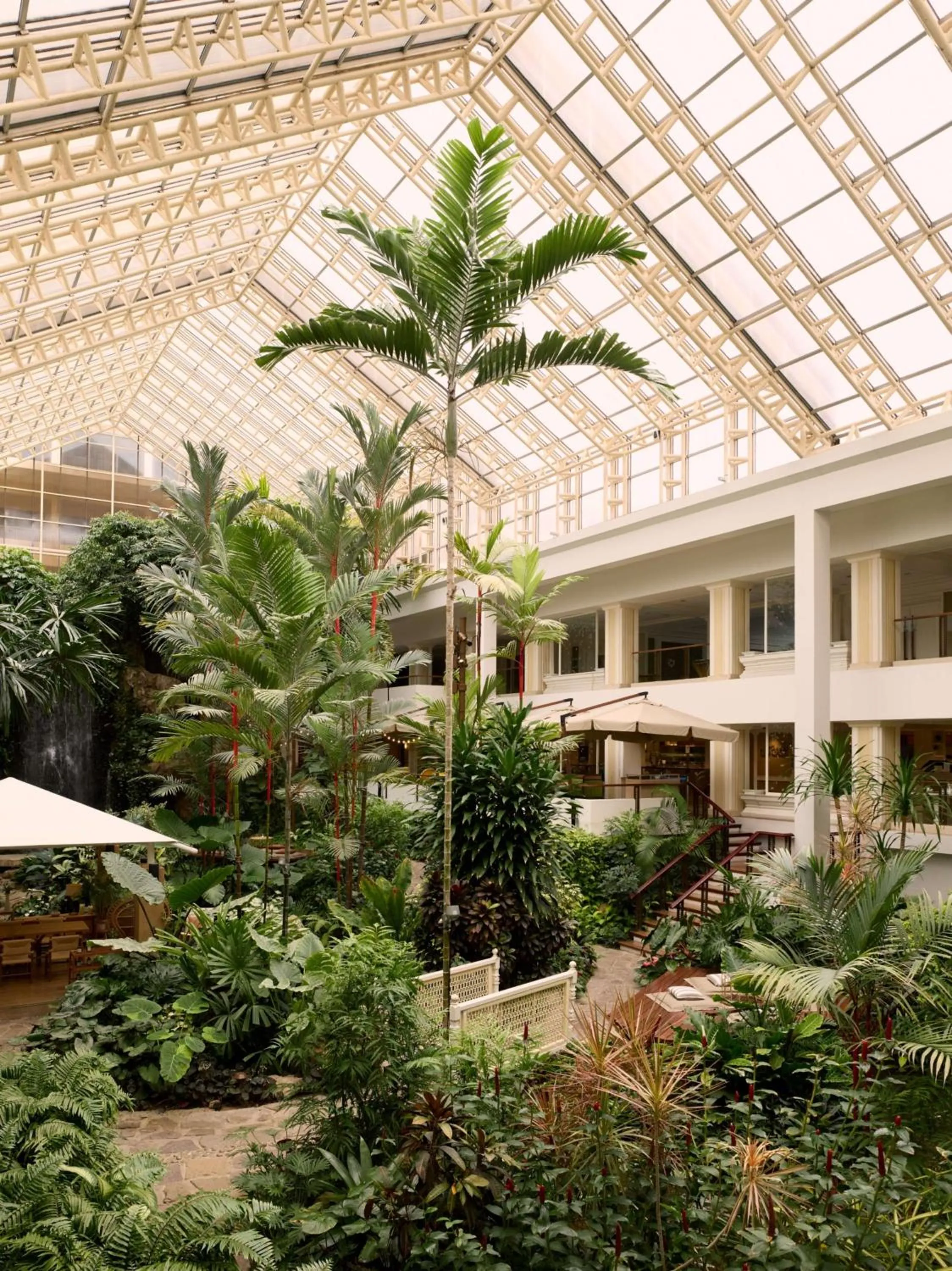 Garden in Dusit Thani Pattaya