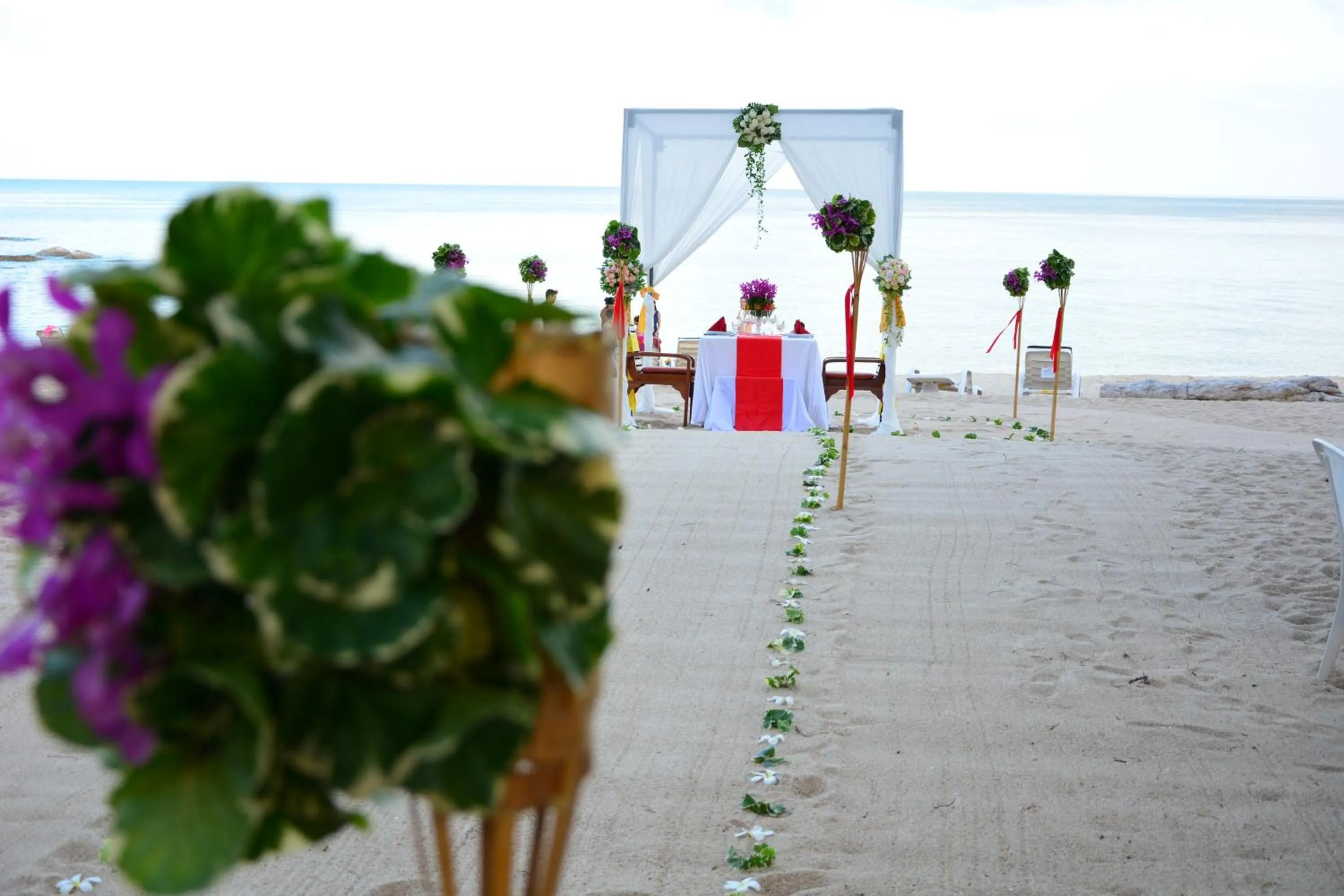 Spring in First Bungalow Beach Resort