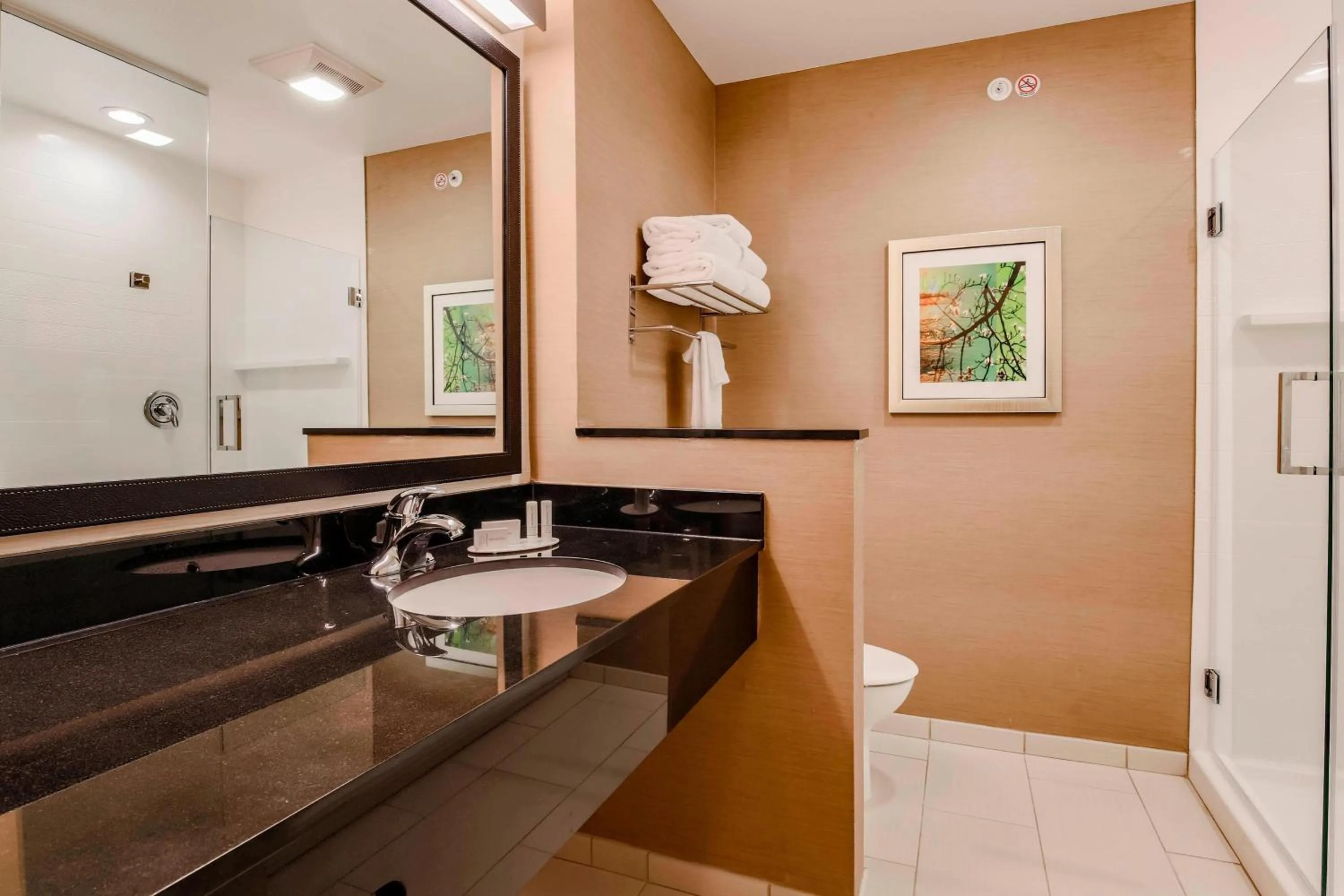 Bathroom in Fairfield Inn & Suites by Marriott Snyder
