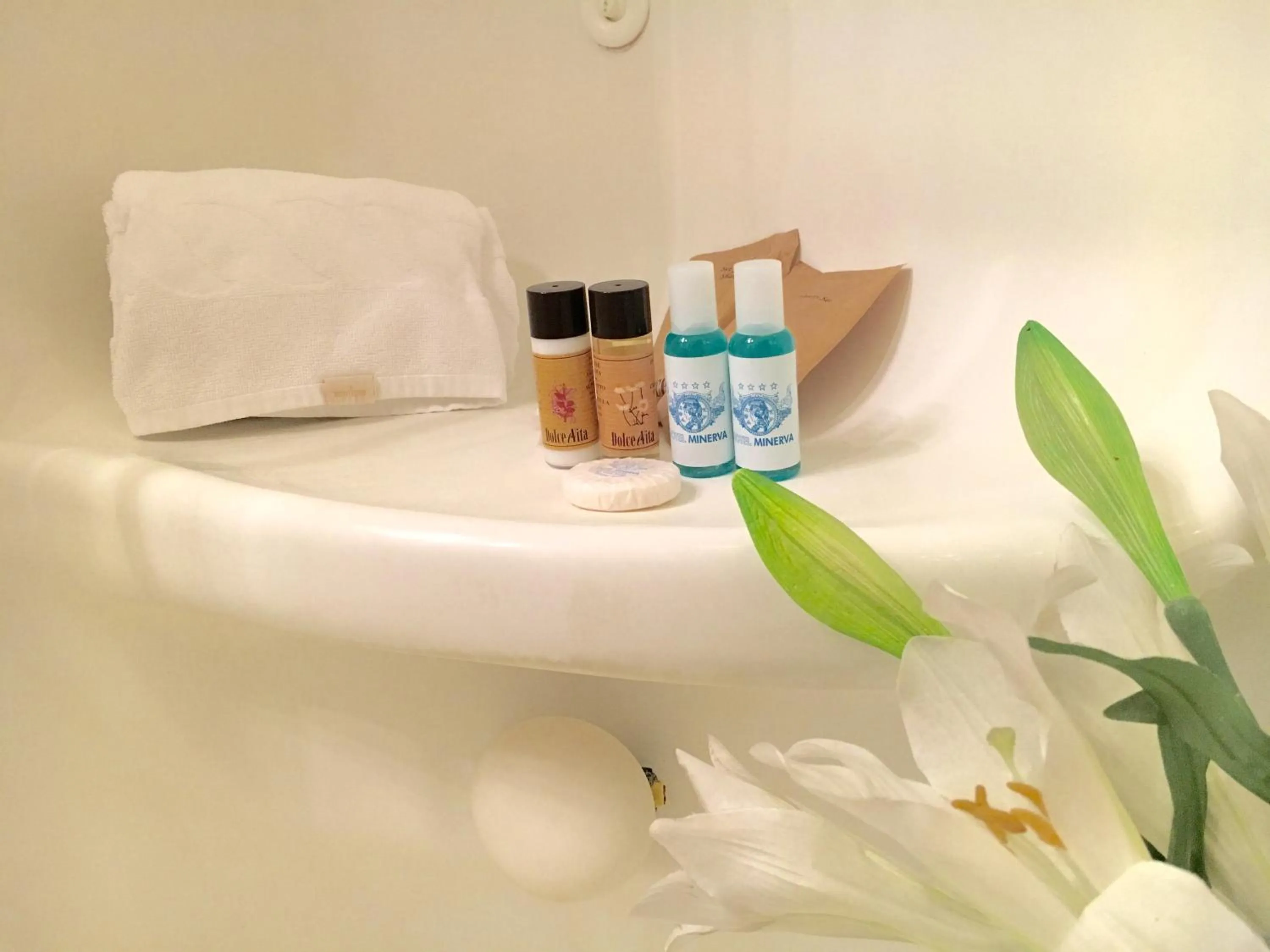 Shower in Hotel Minerva