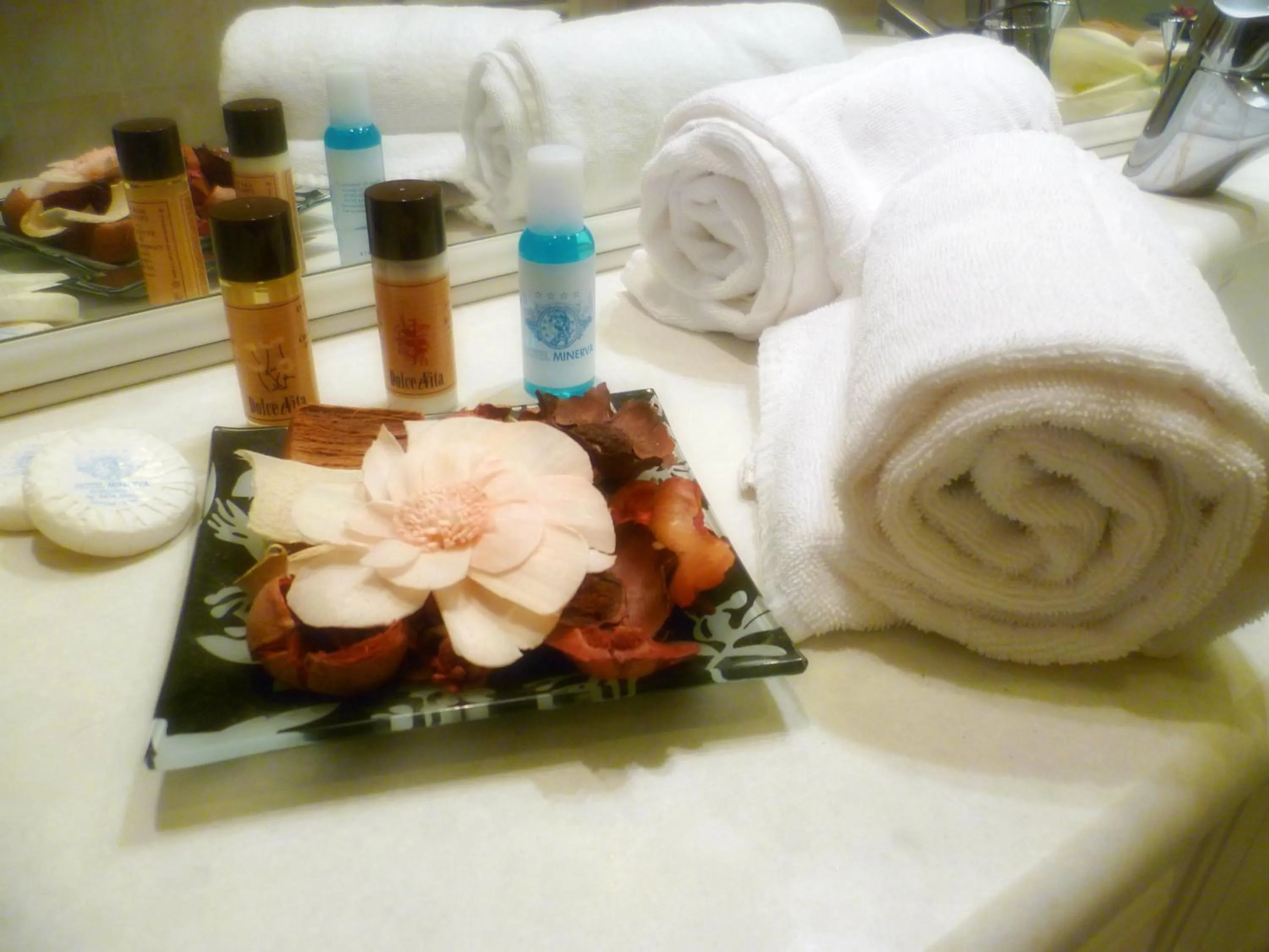 Toilet in Hotel Minerva