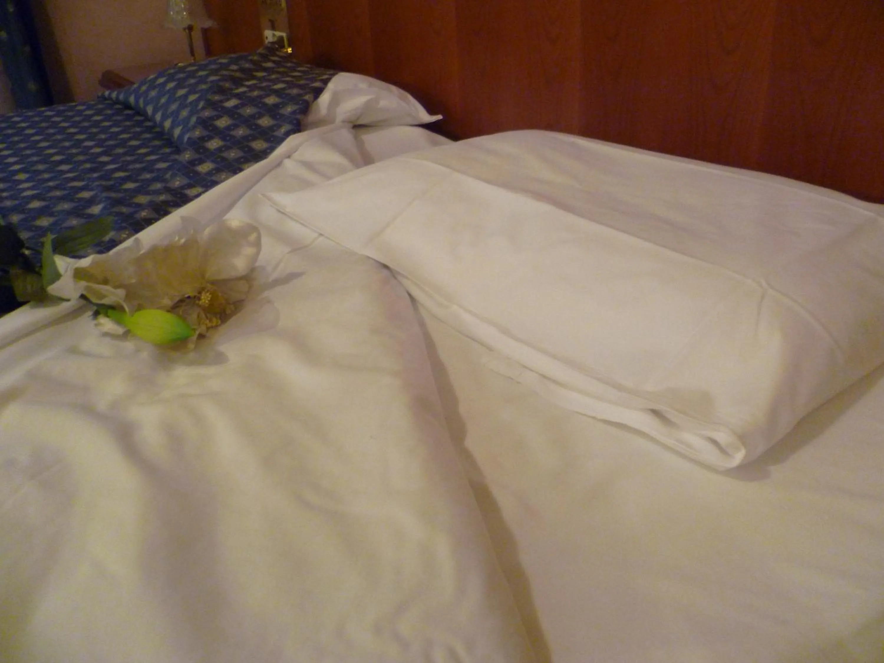 Bedroom, Bed in Hotel Minerva