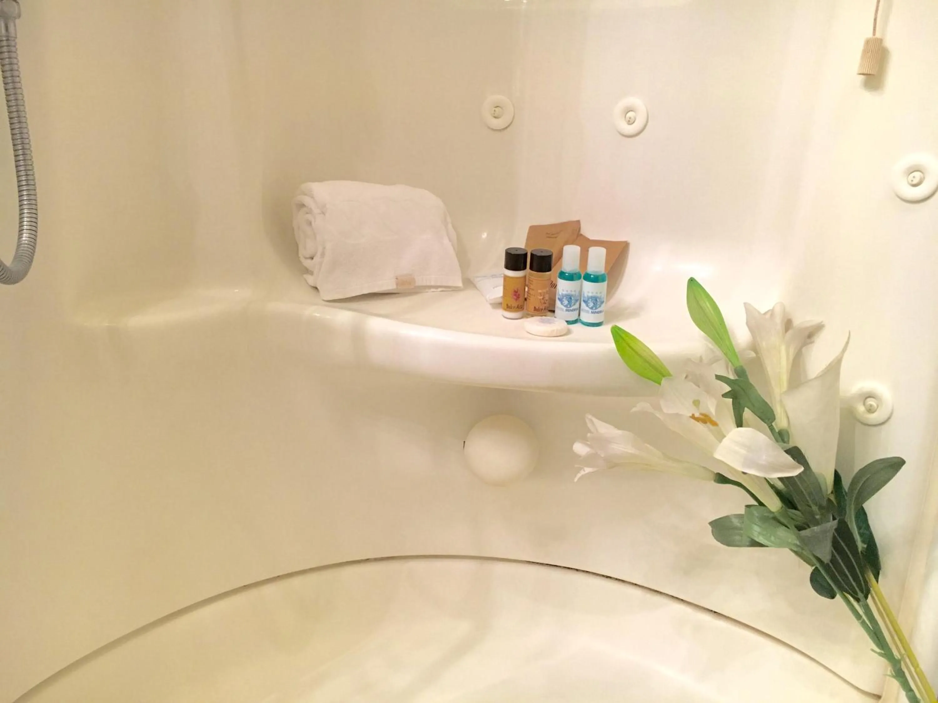 Toilet in Hotel Minerva