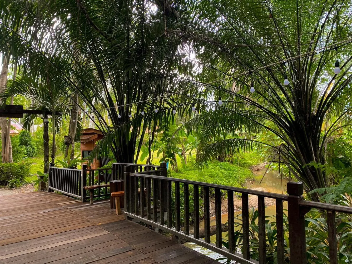 Natural landscape in Sunda Resort