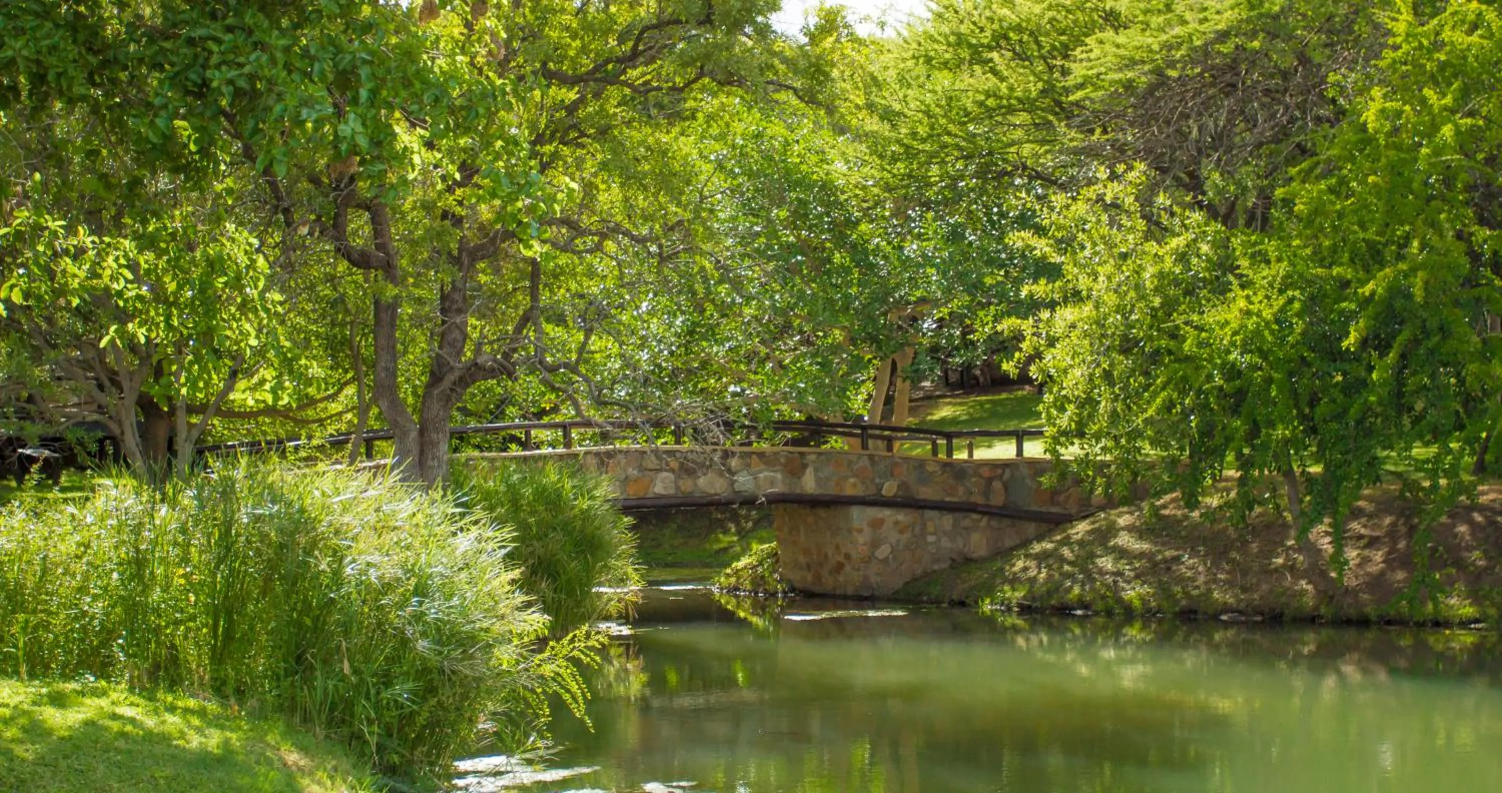 Natural landscape in LittleBush Private Lodge