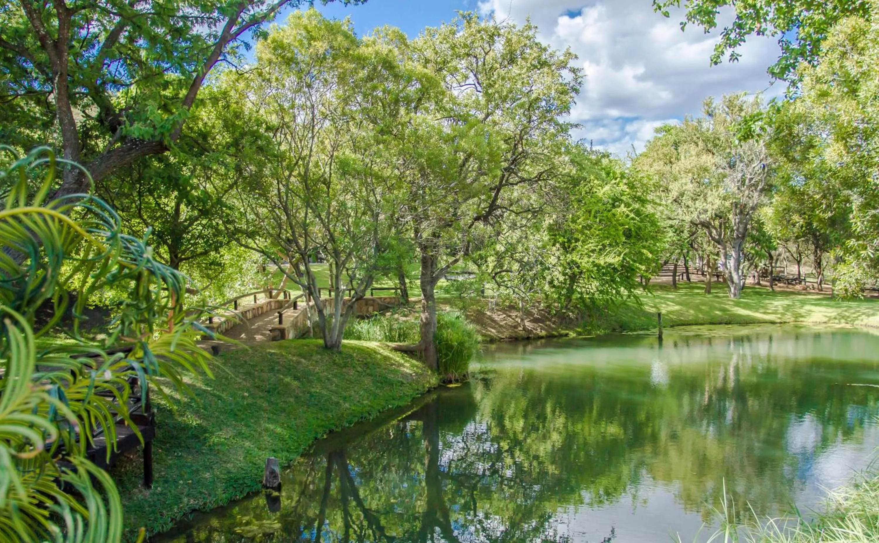 Spring in LittleBush Private Lodge