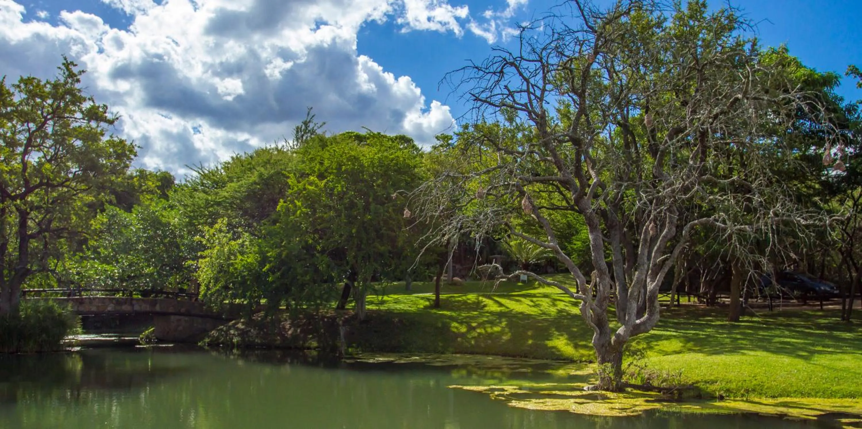 Spring in LittleBush Private Lodge