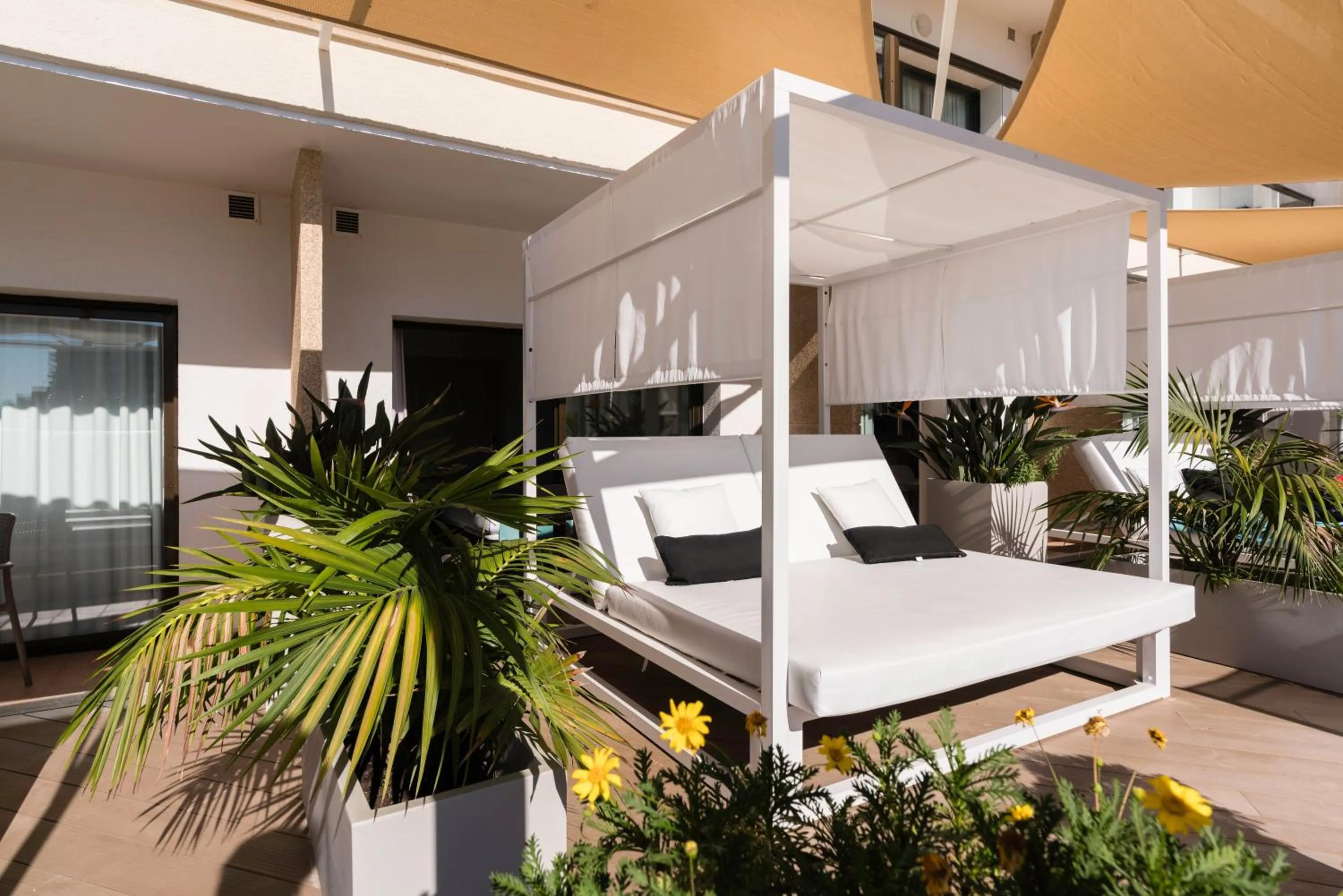 My Favorite Club Double Premium with Bali Bed - single occupancy in AluaSoul Palma Hotel Adults Only