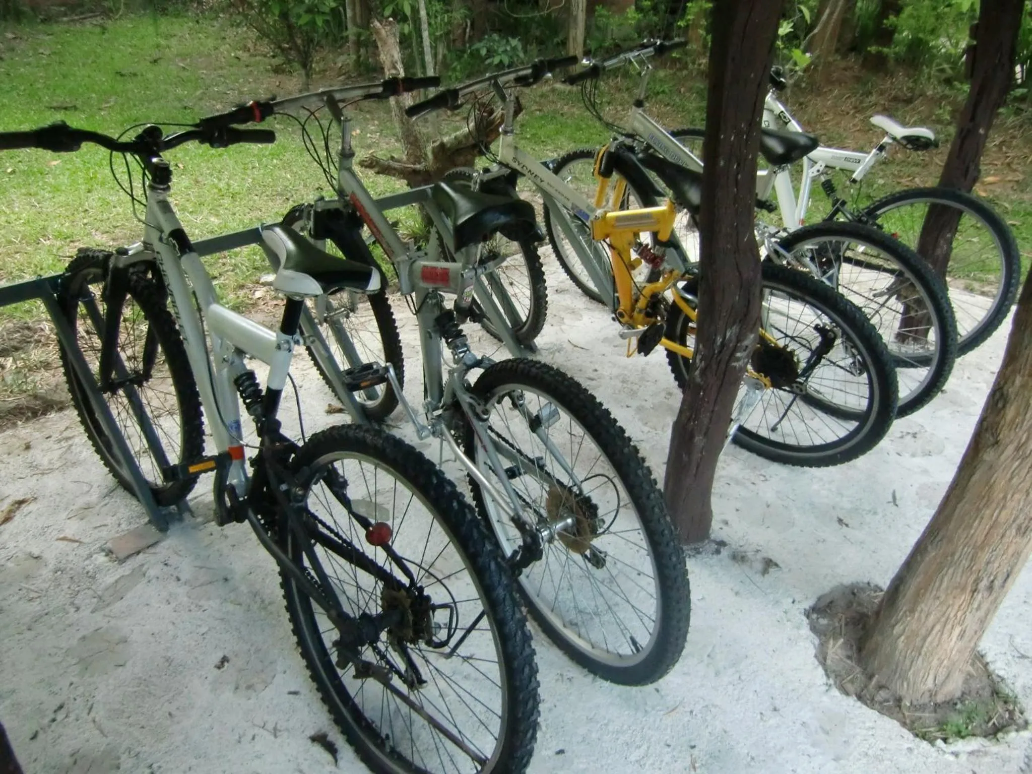 Cycling in Marisa Resort & Spa Chiang Dao