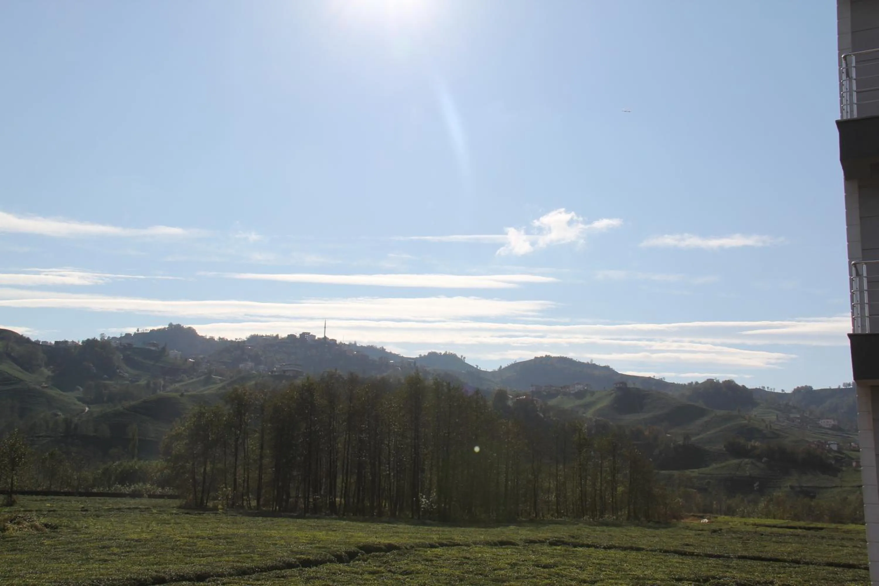 Other in Mori Sport Hotel