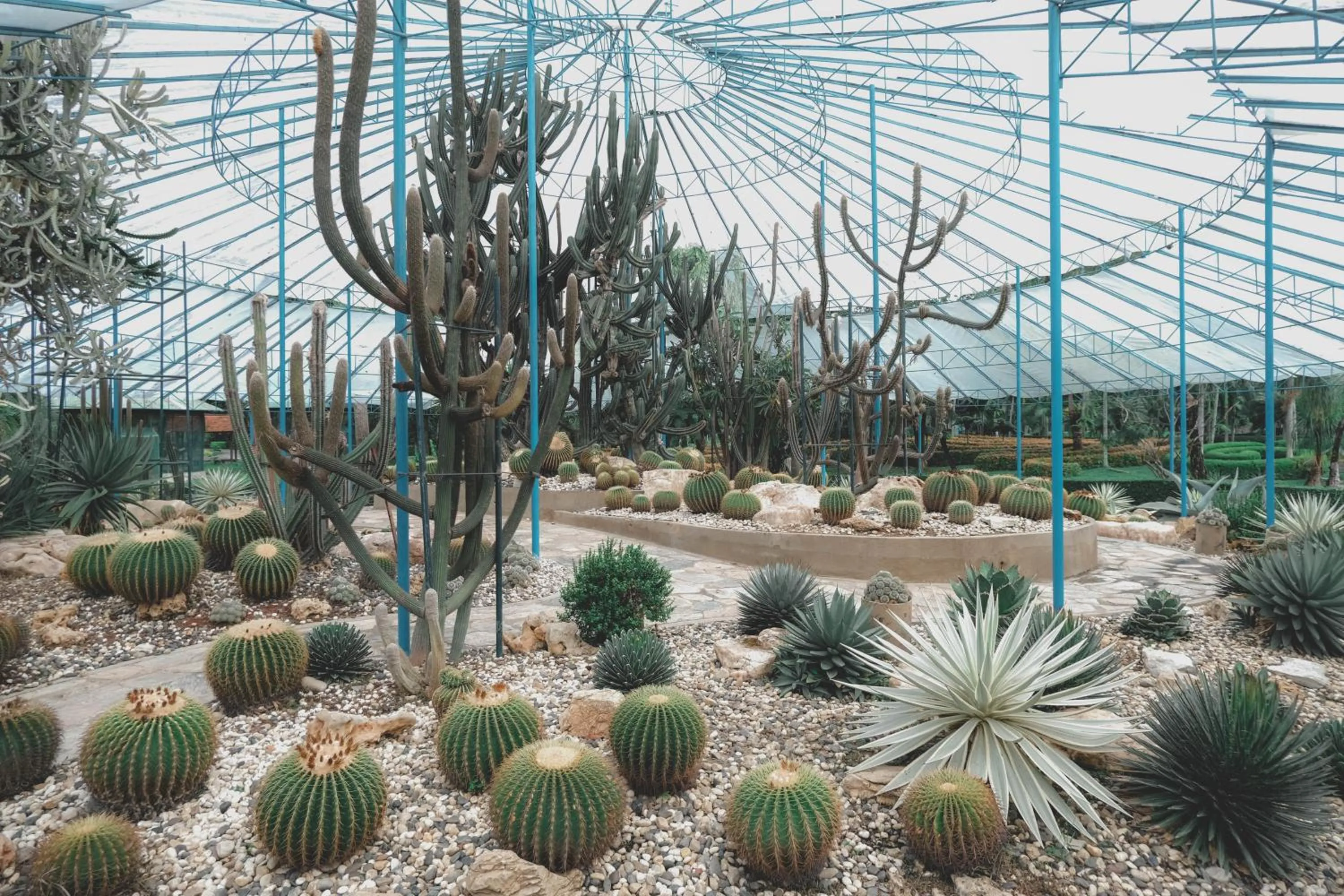 Garden in Horizon Village & Resort