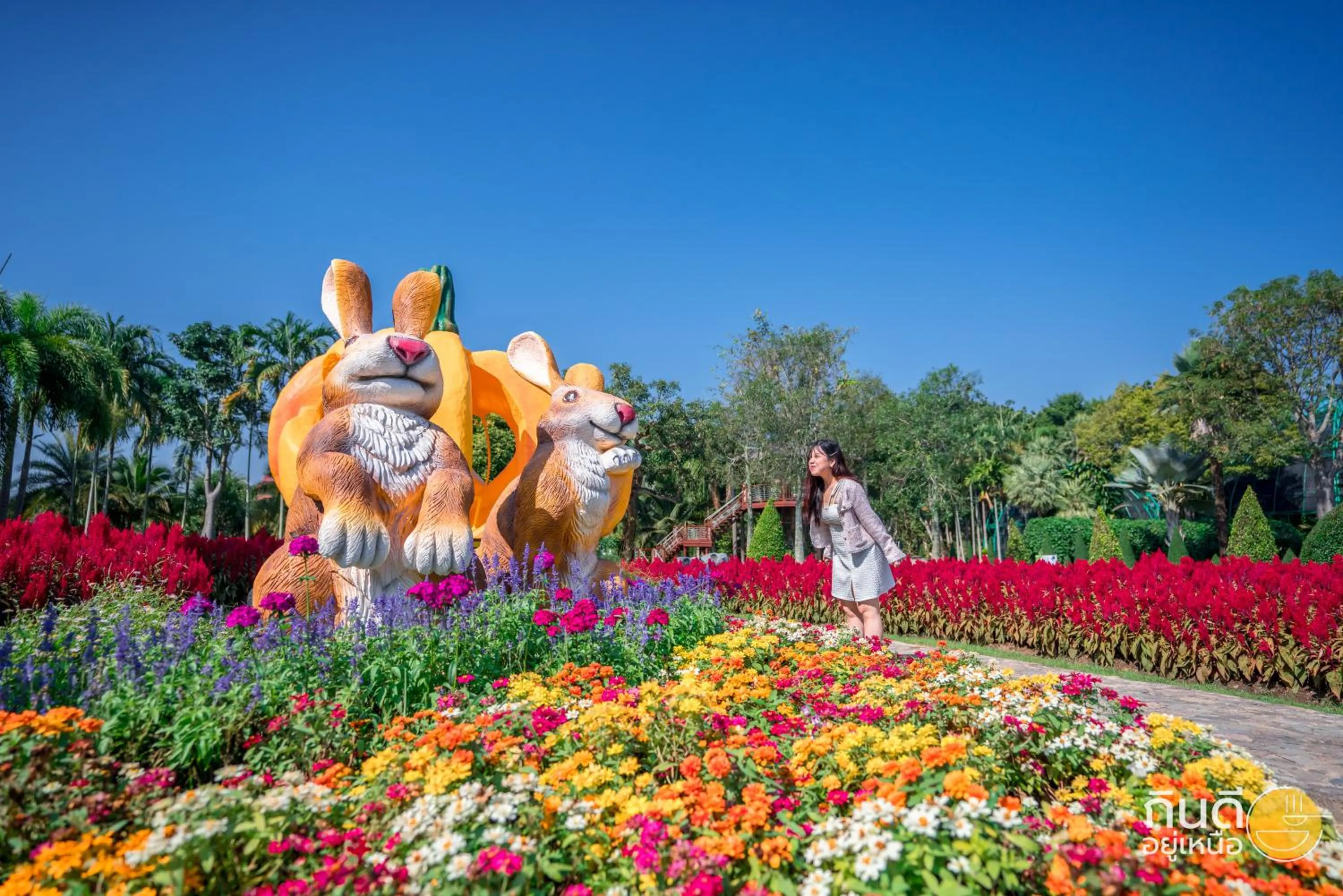 Garden in Horizon Village & Resort