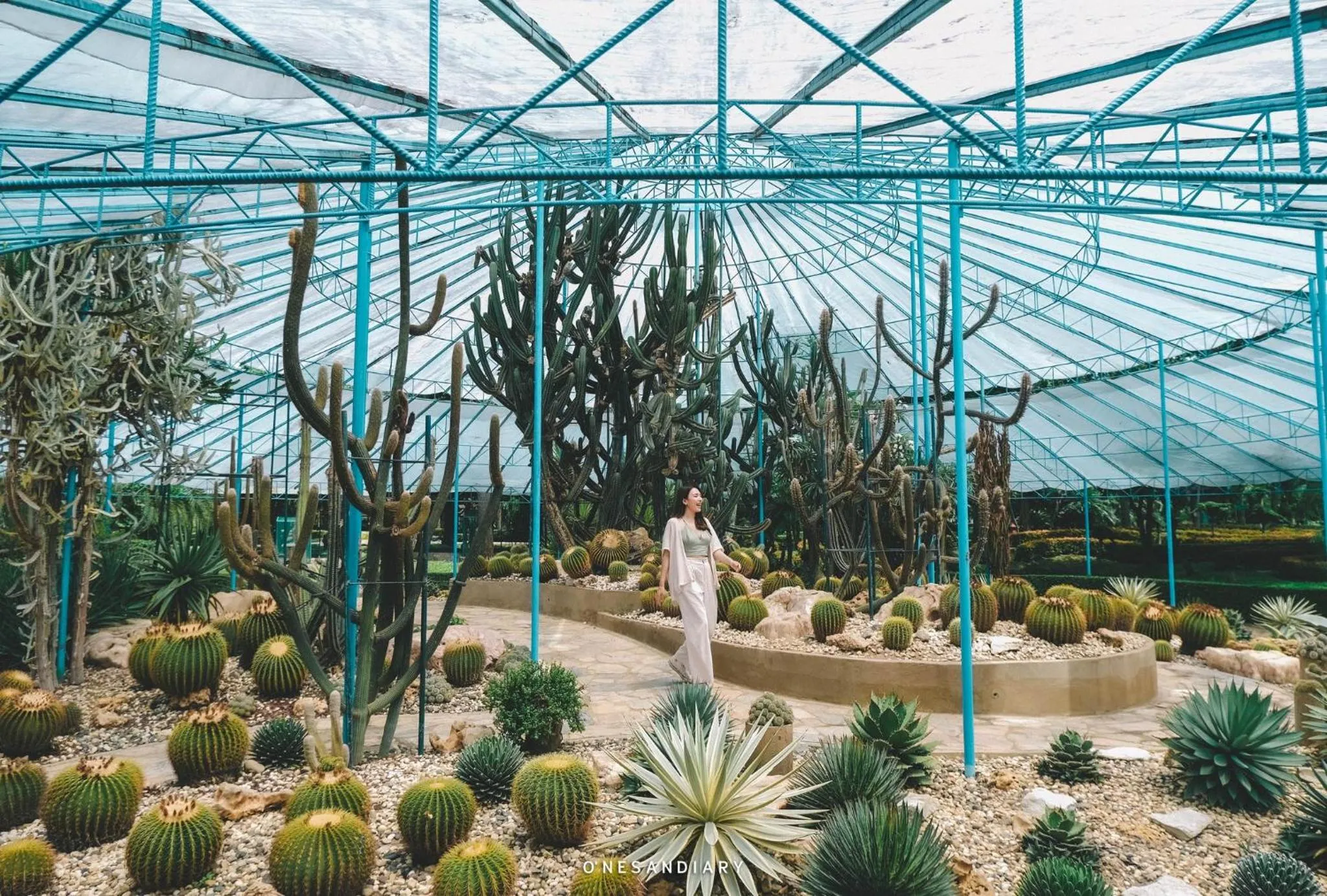 Garden in Horizon Village & Resort