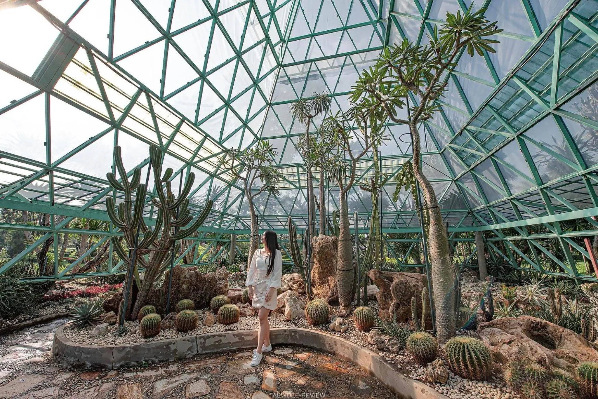 Garden in Horizon Village & Resort