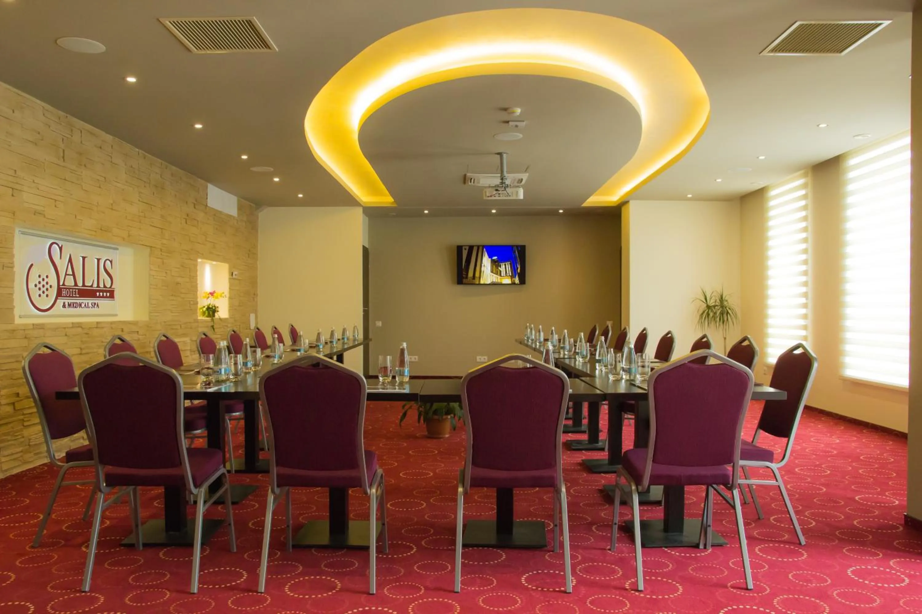 Meeting/conference room in Salis Hotel & Medical Spa