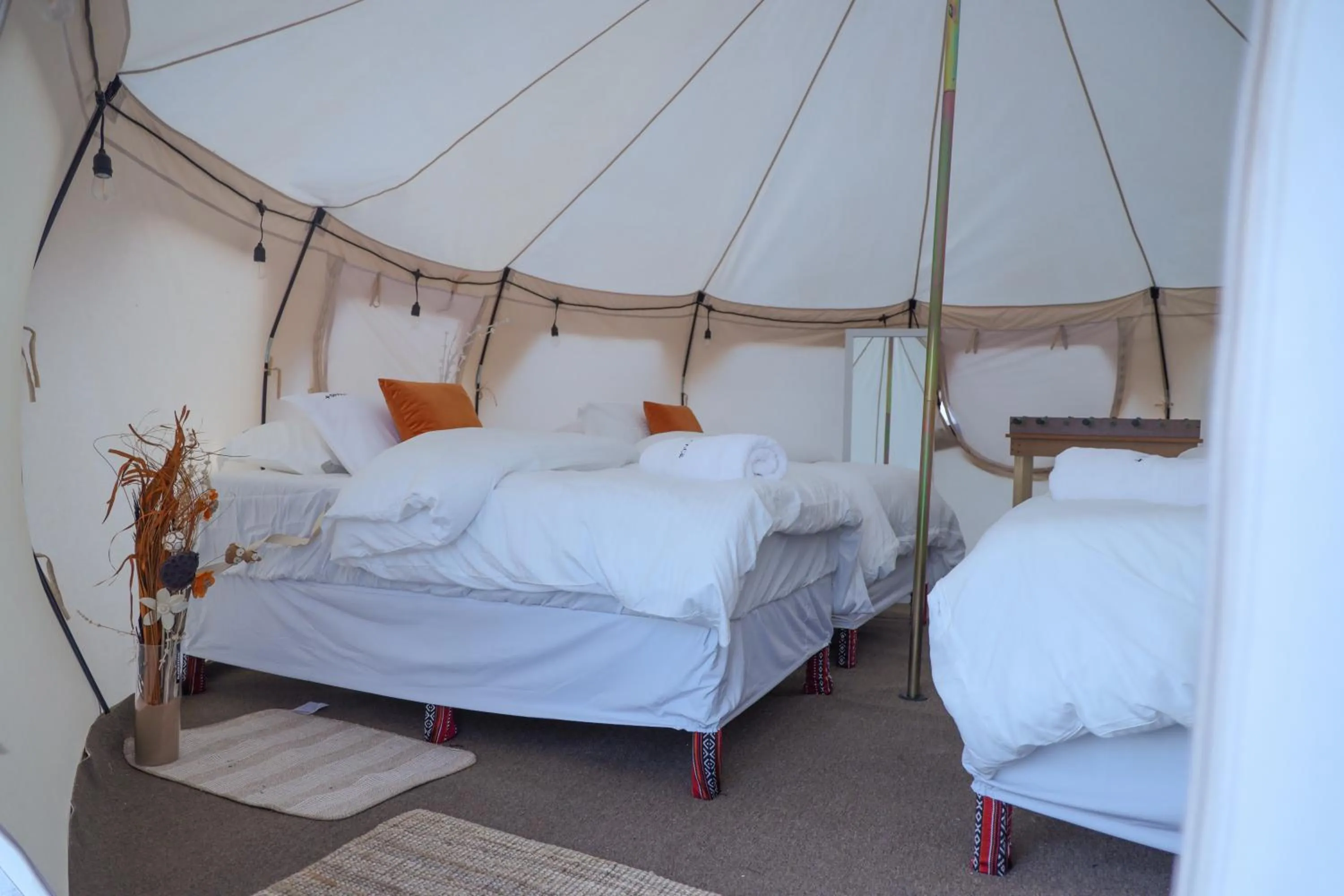 Bedroom, Bed in Safari Desert Camp