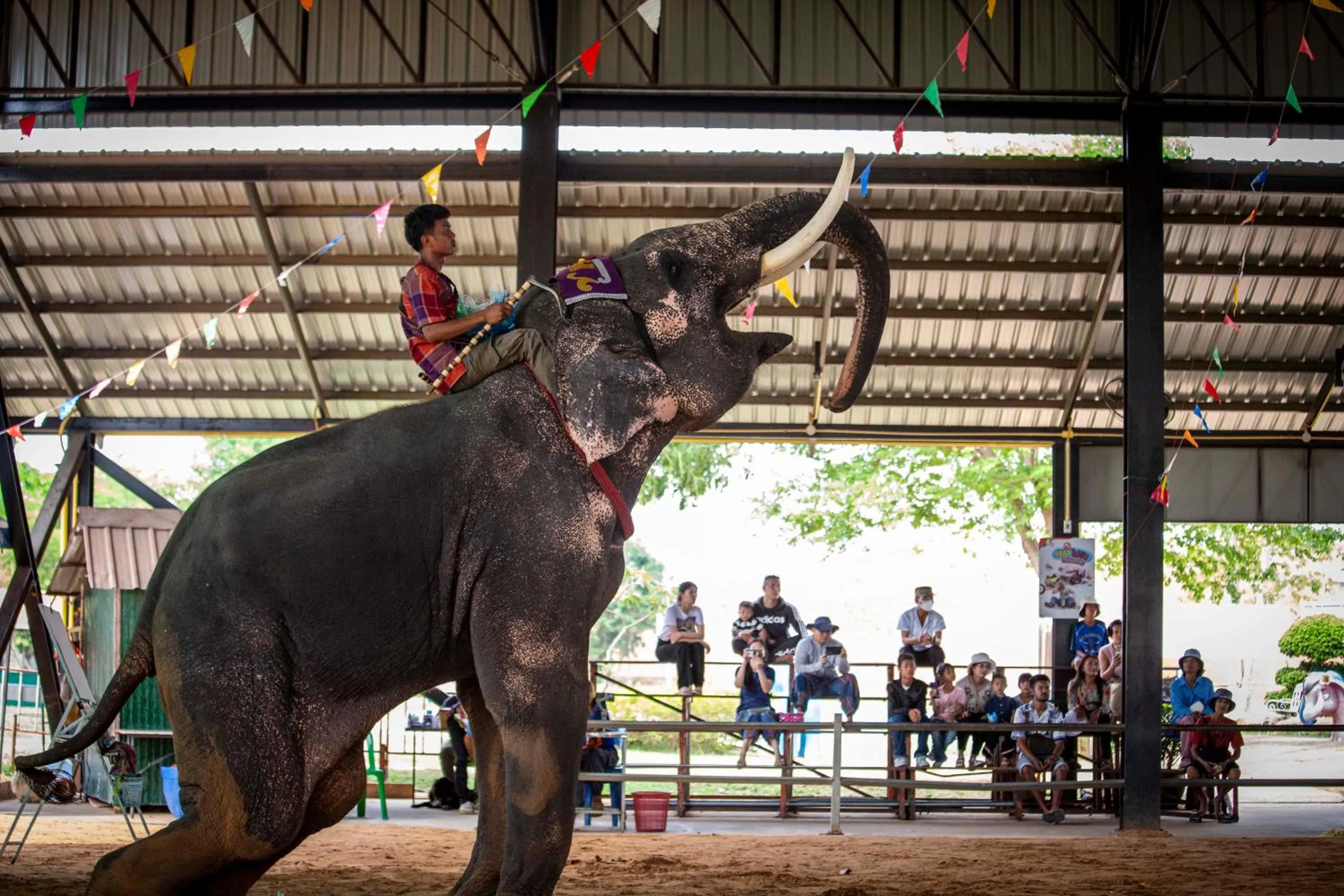 Nearby landmark in Thong Tarin Hotel