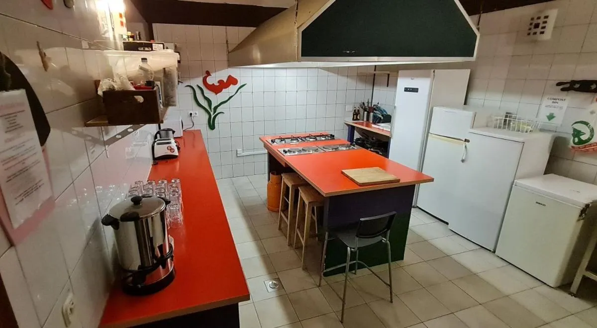 The Lazy Monkey Hostel & Apartments