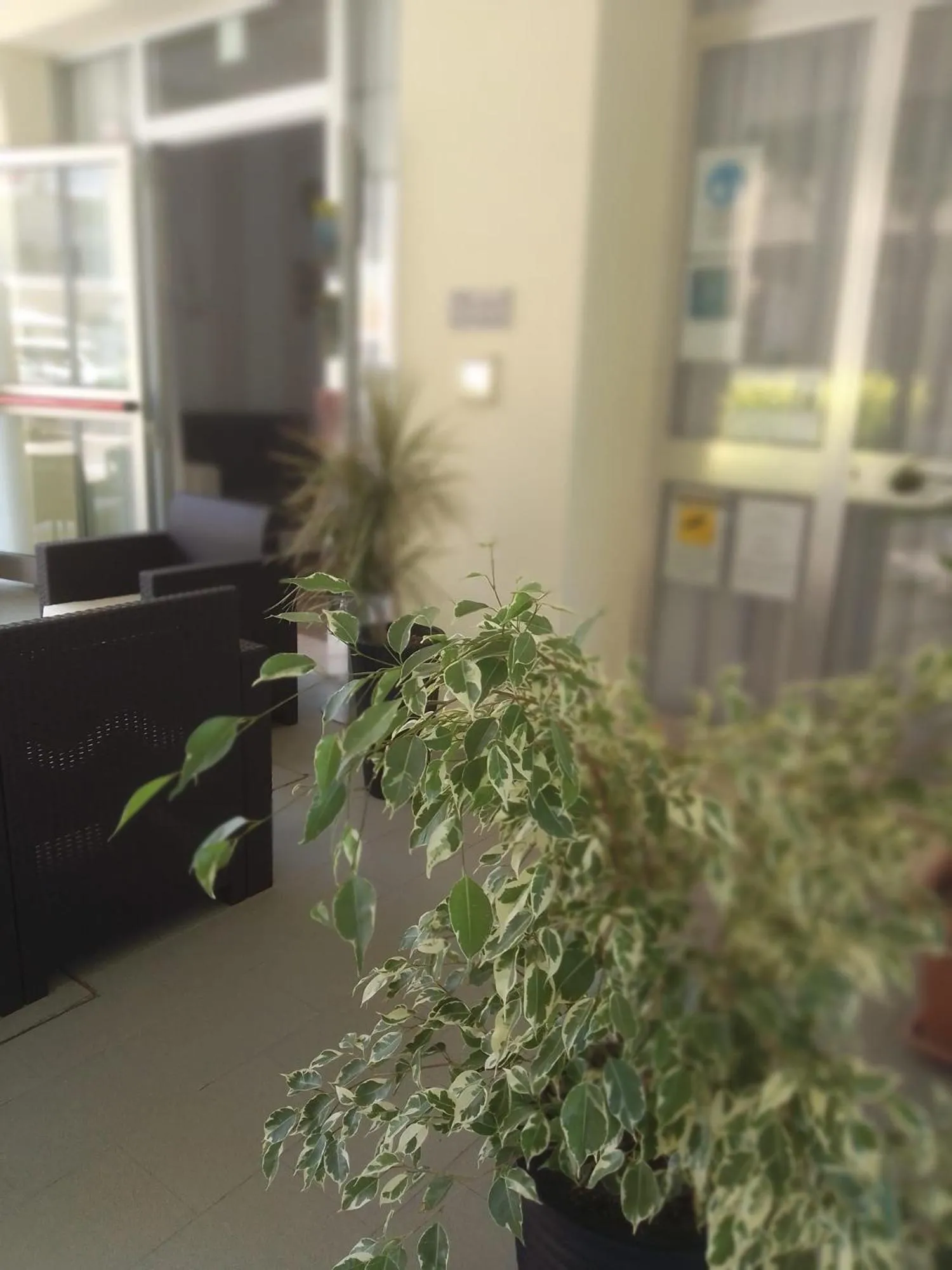 B&B - Meuble' - Hotel " CORDIALE "