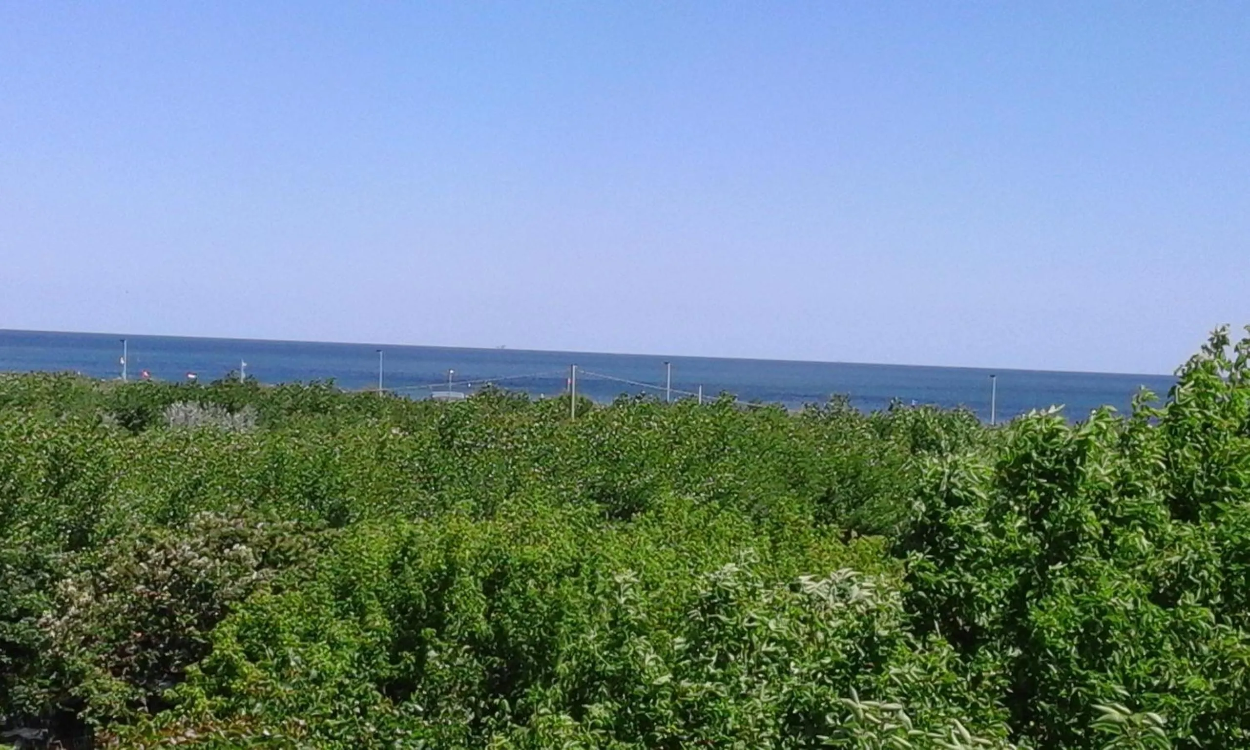 Sea view in B&B - Meuble' - Hotel " CORDIALE "