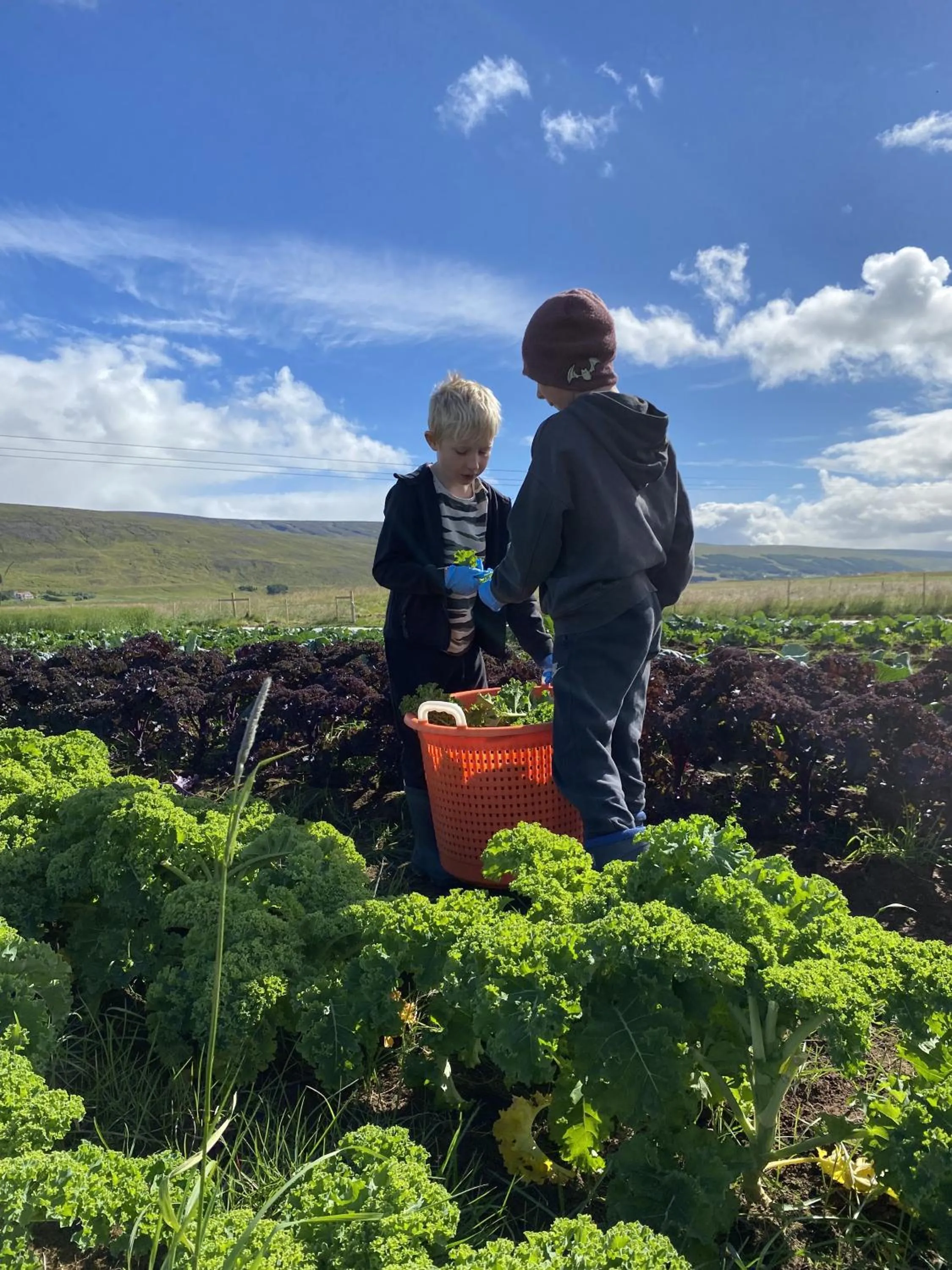 Vallakot Farm Guesthouse