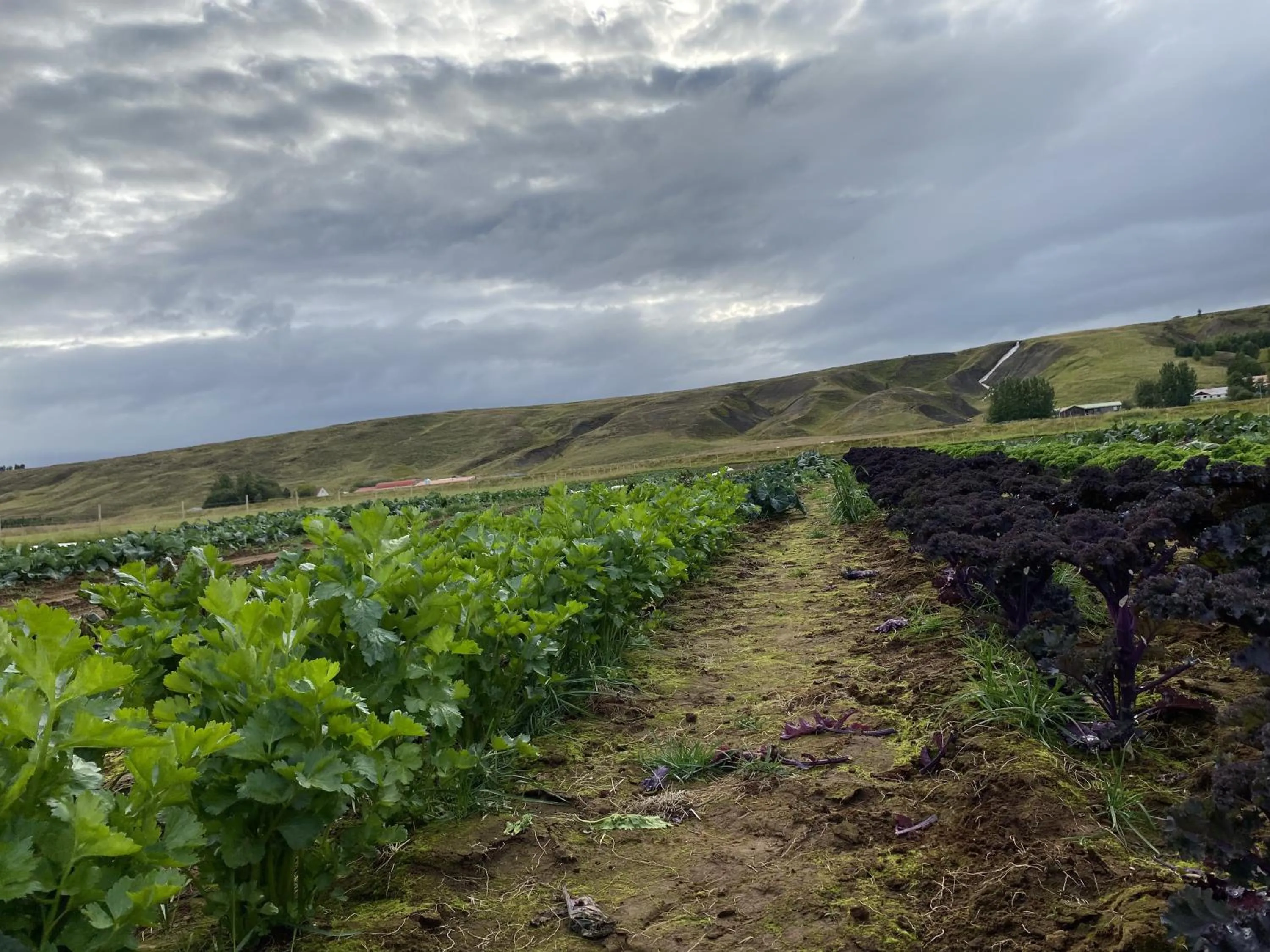 Vallakot Farm Guesthouse