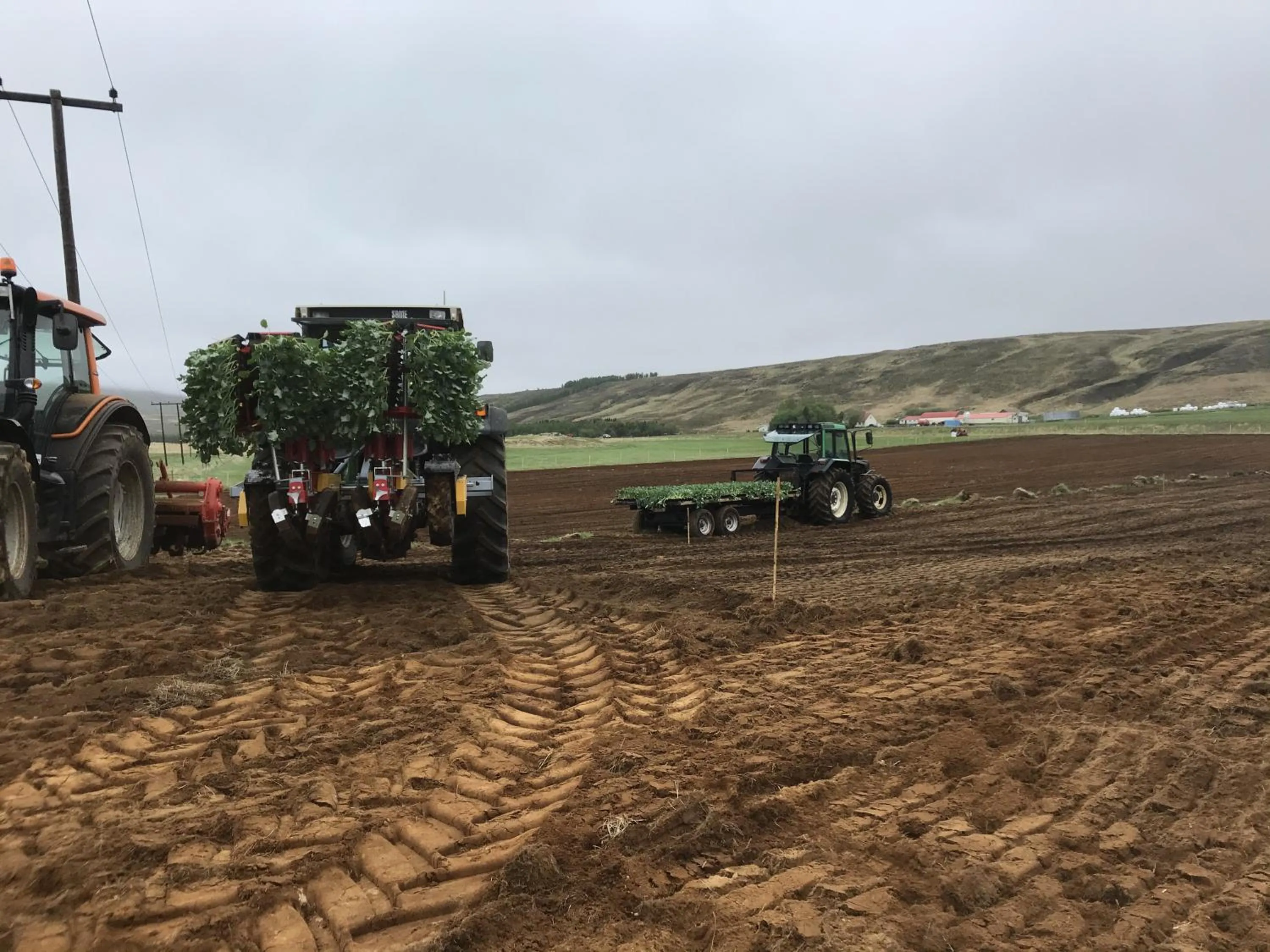 Vallakot Farm Guesthouse