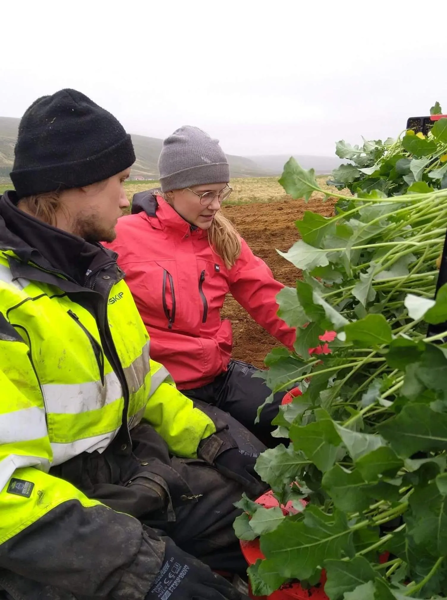 Vallakot Farm Guesthouse