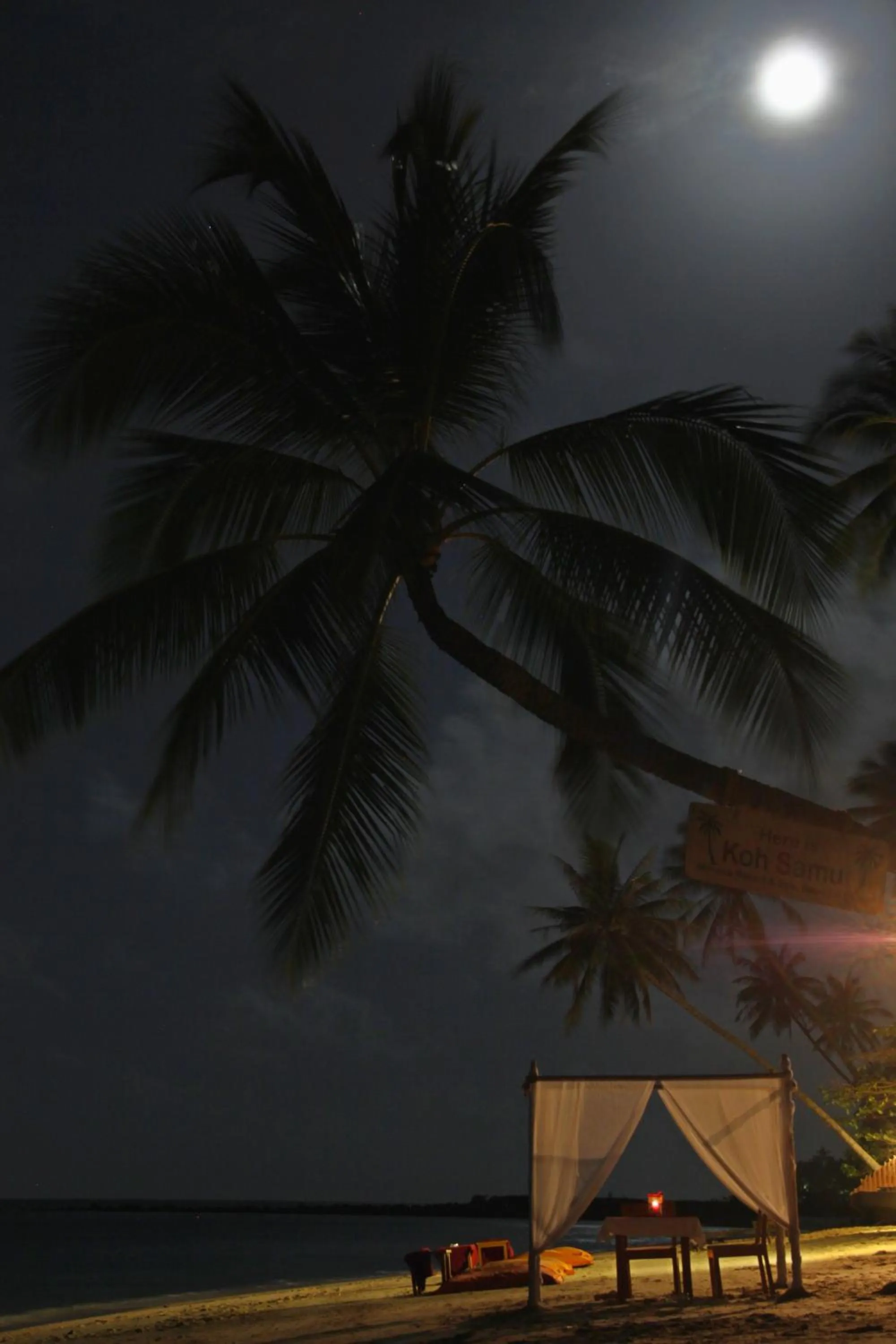 Sea view in Mimosa Resort & Spa